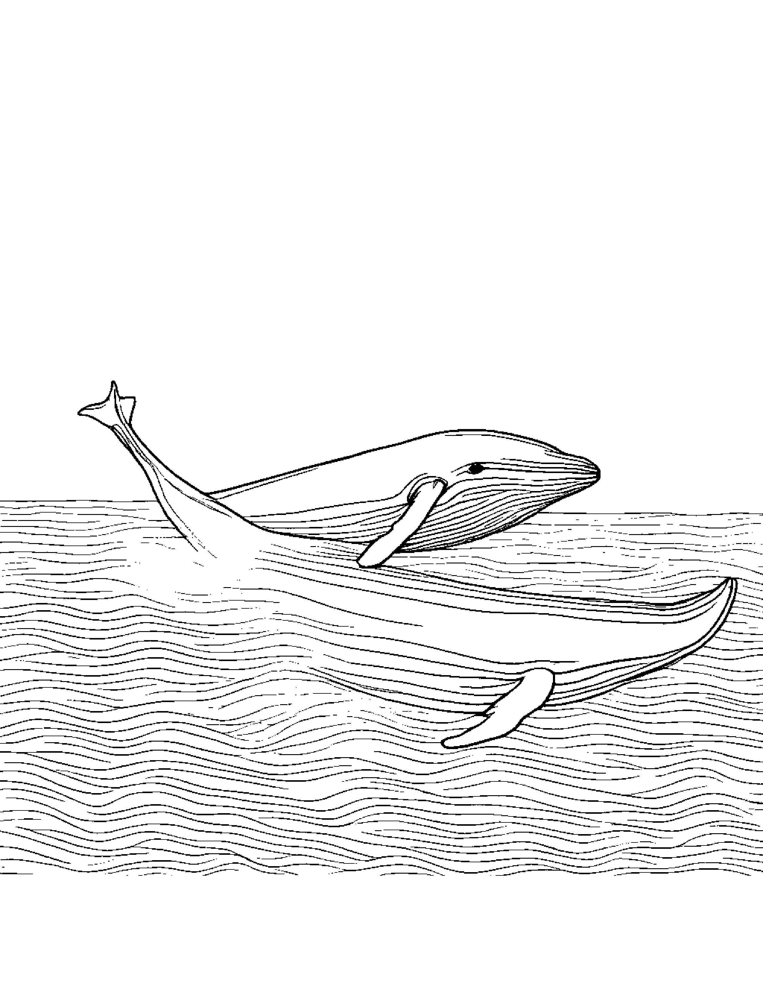 A Baby Blue Whale Swimming With Its Mother In The Ocean Coloring Page (Free Printable PDF)