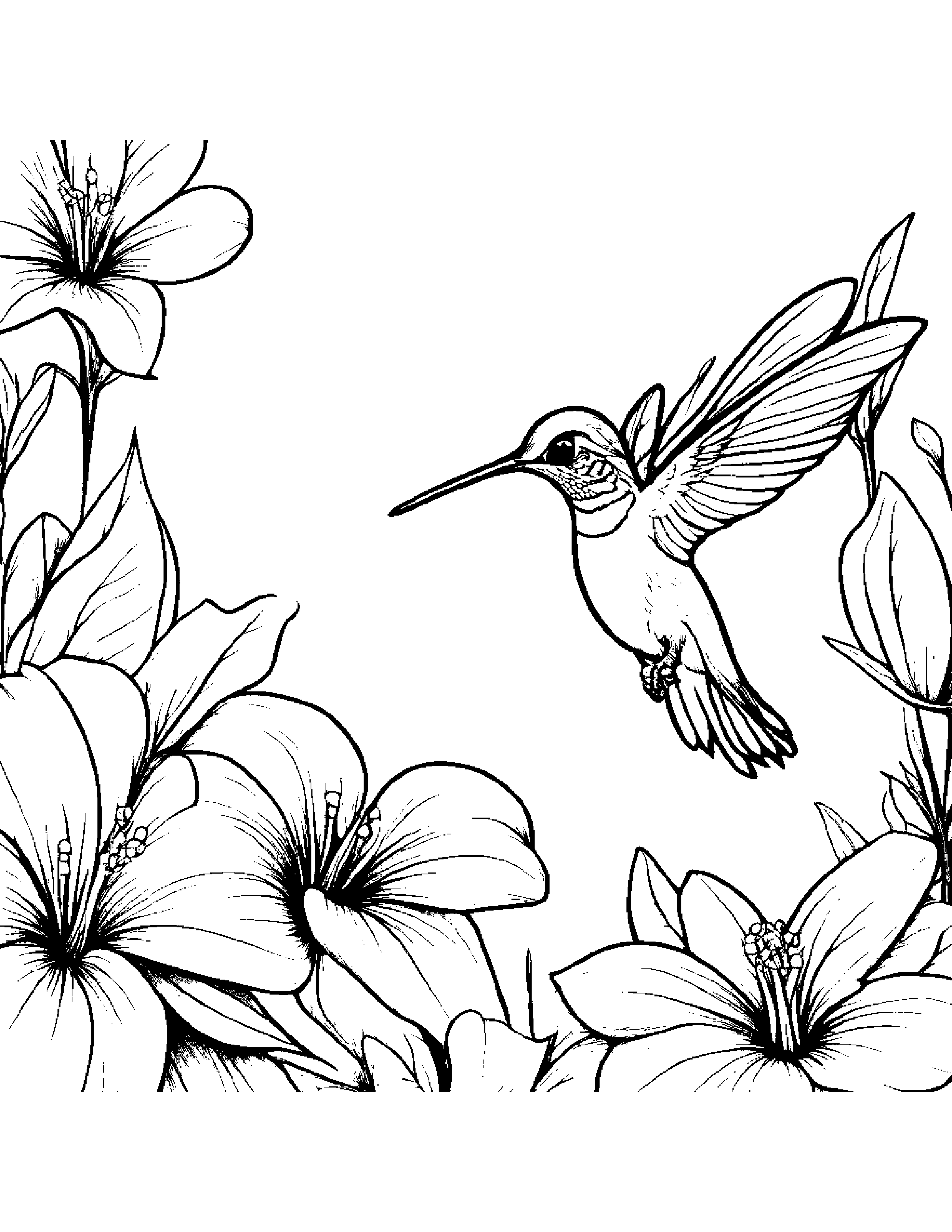 A Baby Hummingbird Sipping Nectar From A Colorful Tropical Flower In The Middle Of Rainforest Coloring Page (Free Printable PDF)