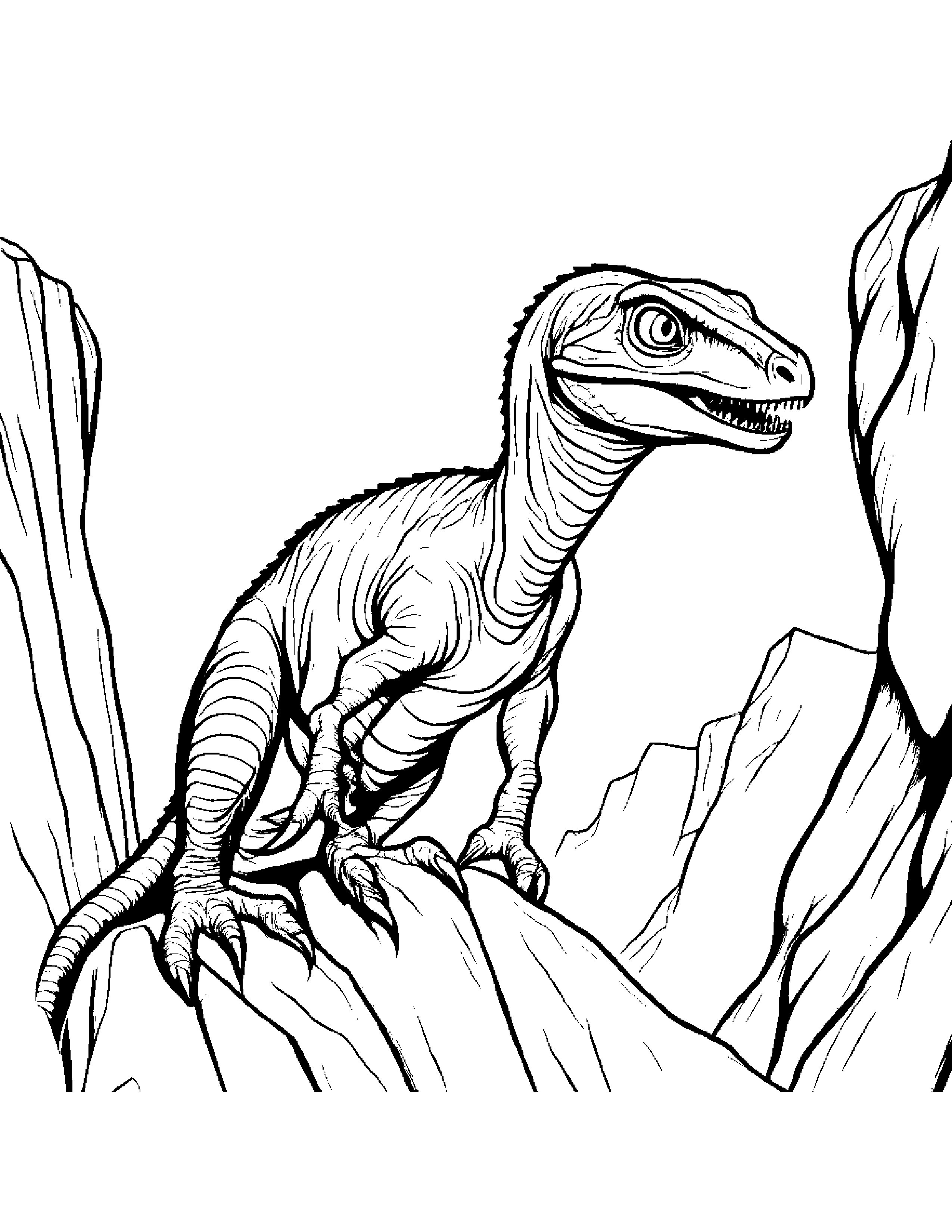 A Baby Velociraptor Climbing Up A Sheer Cliff Face Using Its Sharp Claws Coloring Page (Free Printable PDF)