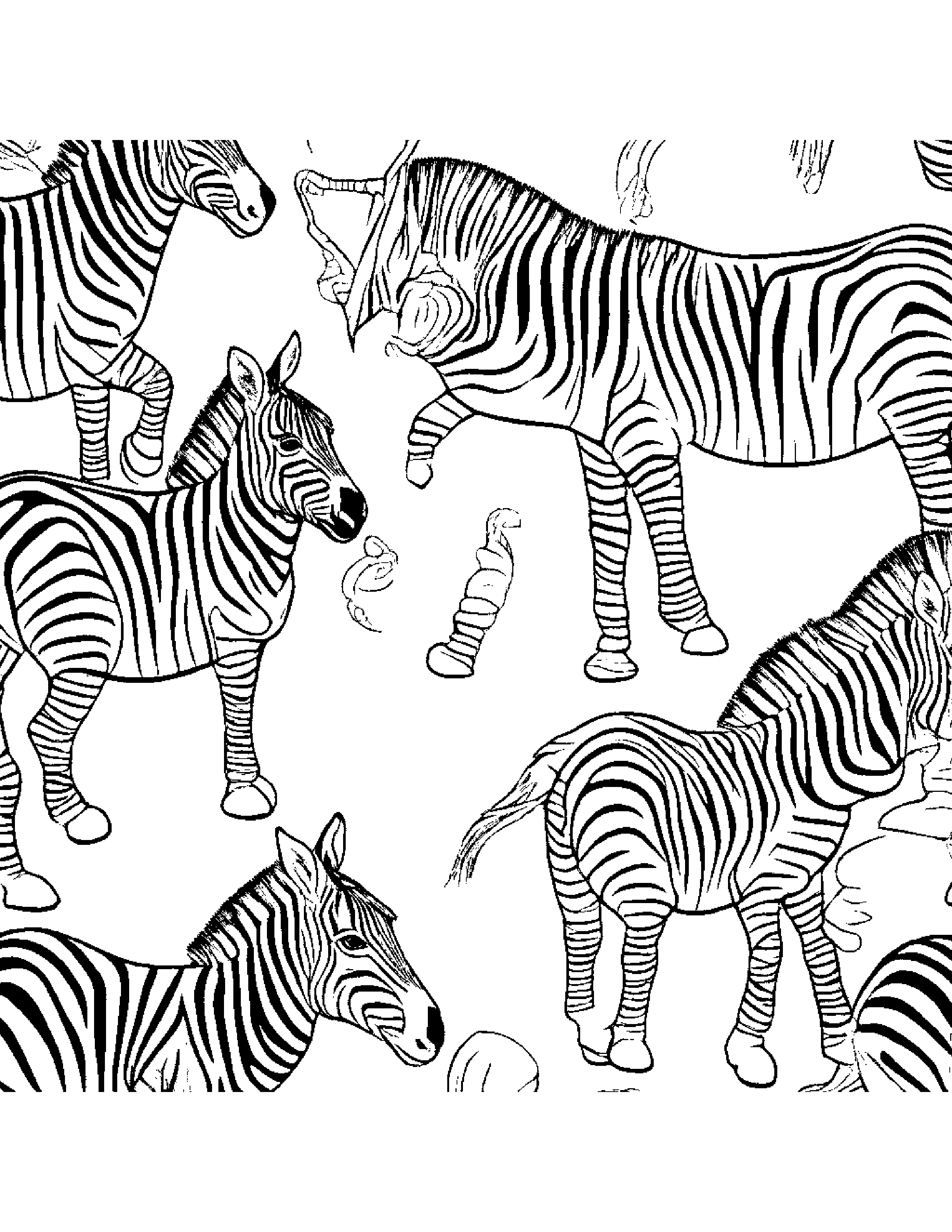 A Herd Of Zebras Marching In Formation While Playing Various Instruments Coloring Page (Free Printable PDF)