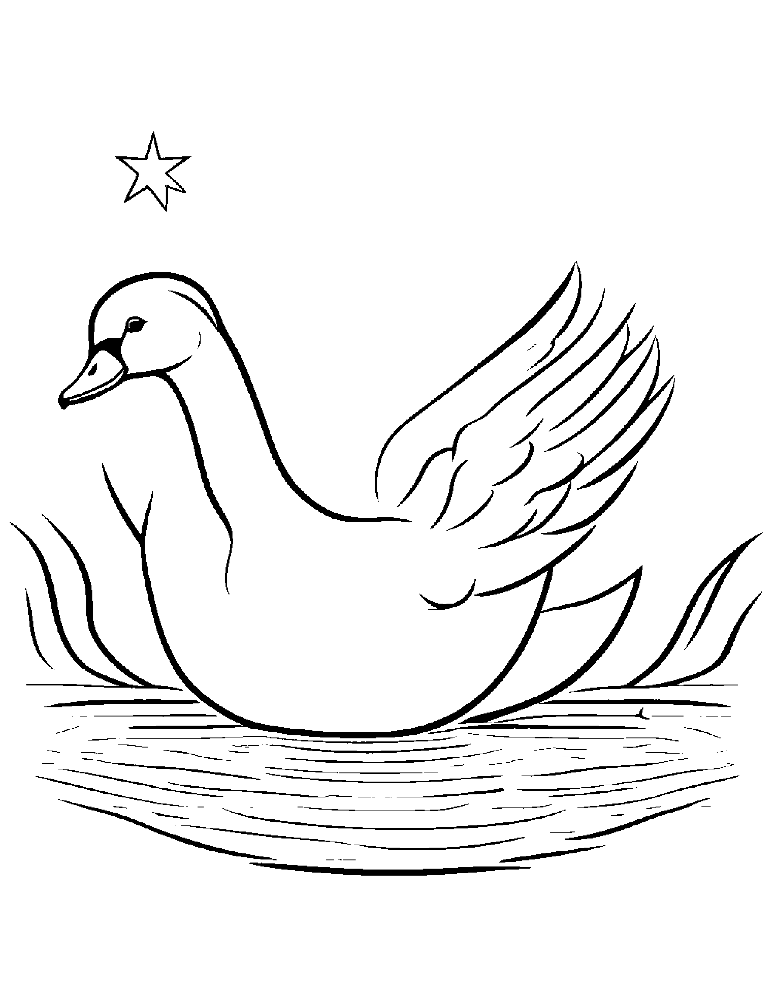 Baby Swan With A Star #3 Coloring Page (Free Printable PDF)