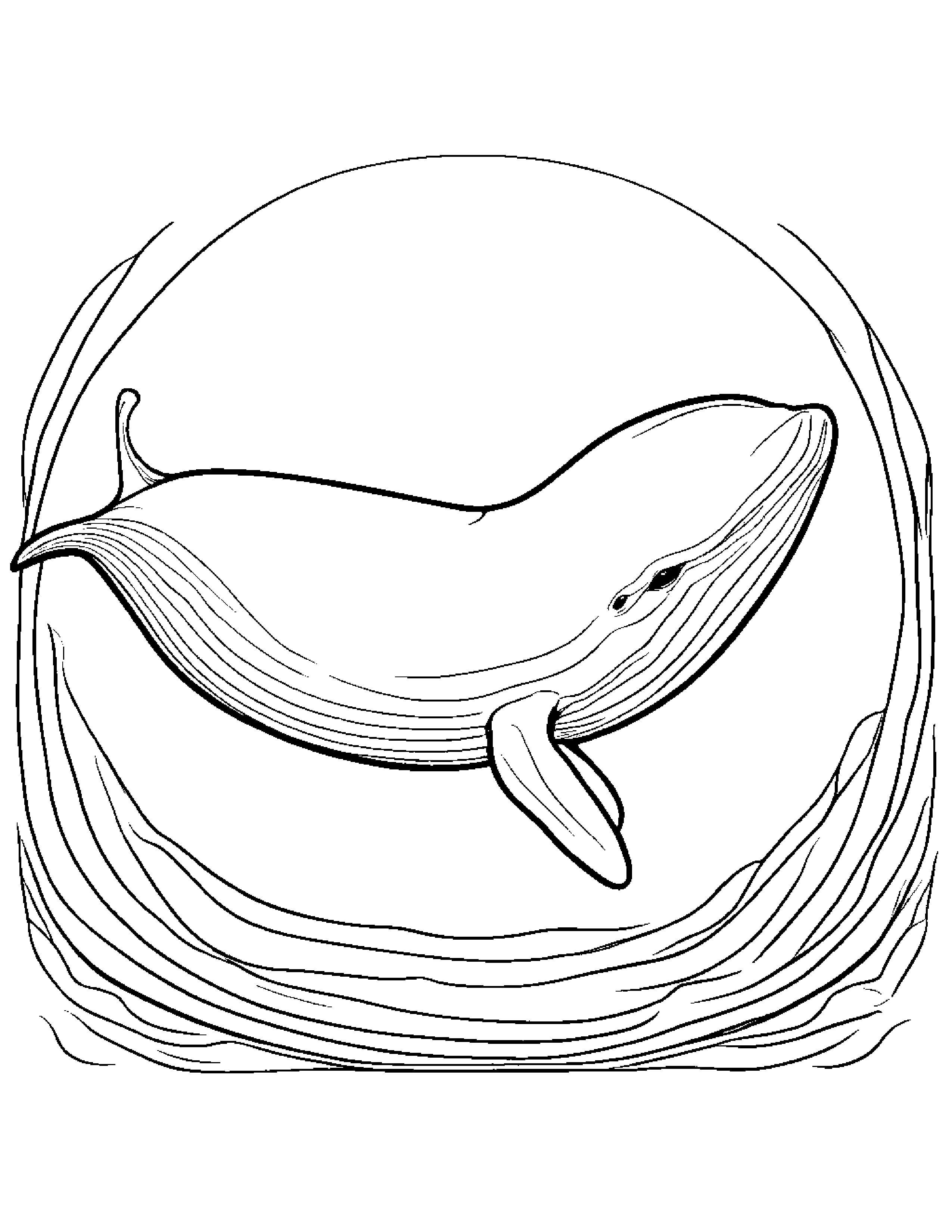 Baby Whale Calf #2 Coloring Page (Free Printable PDF)