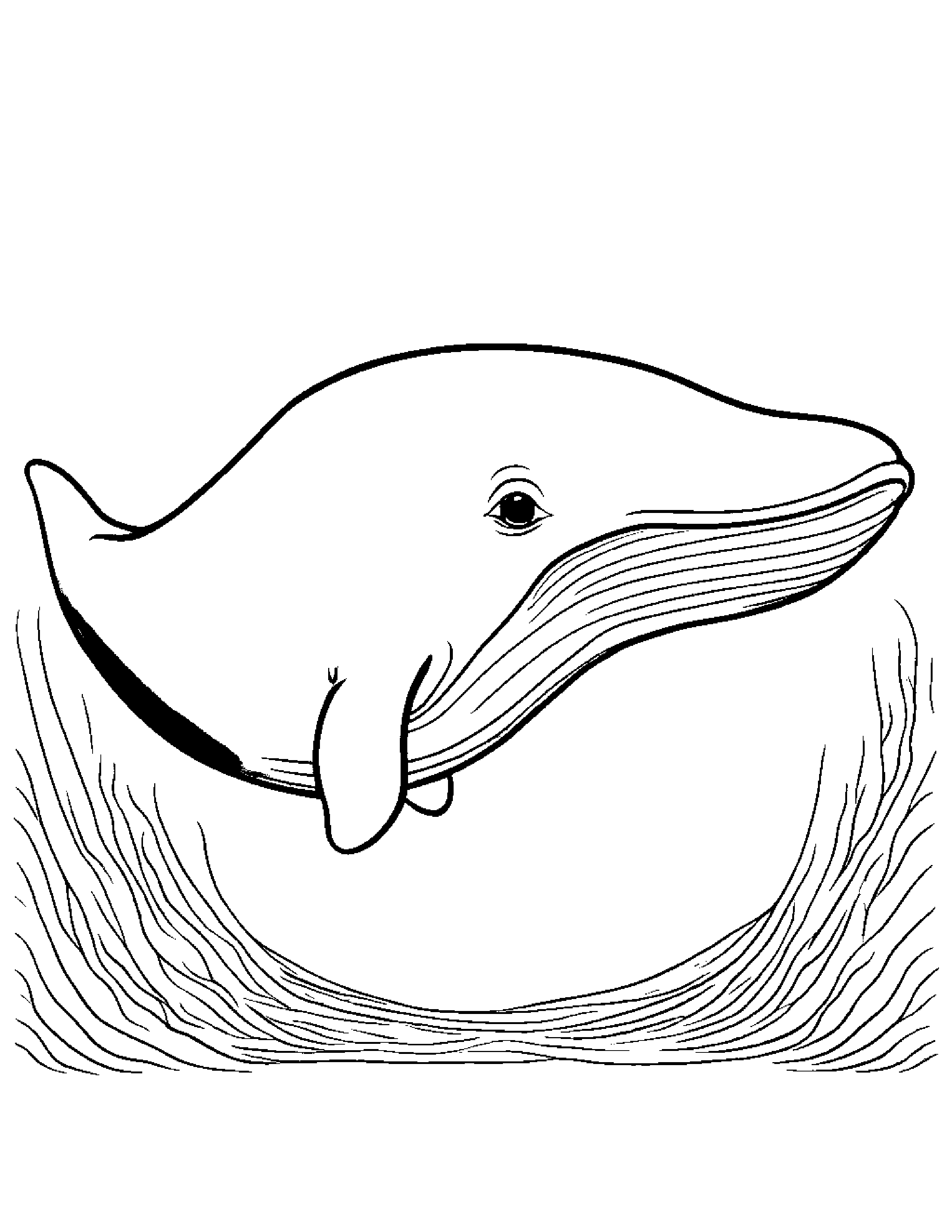 Baby Whale Calf #3 Coloring Page (Free Printable PDF)