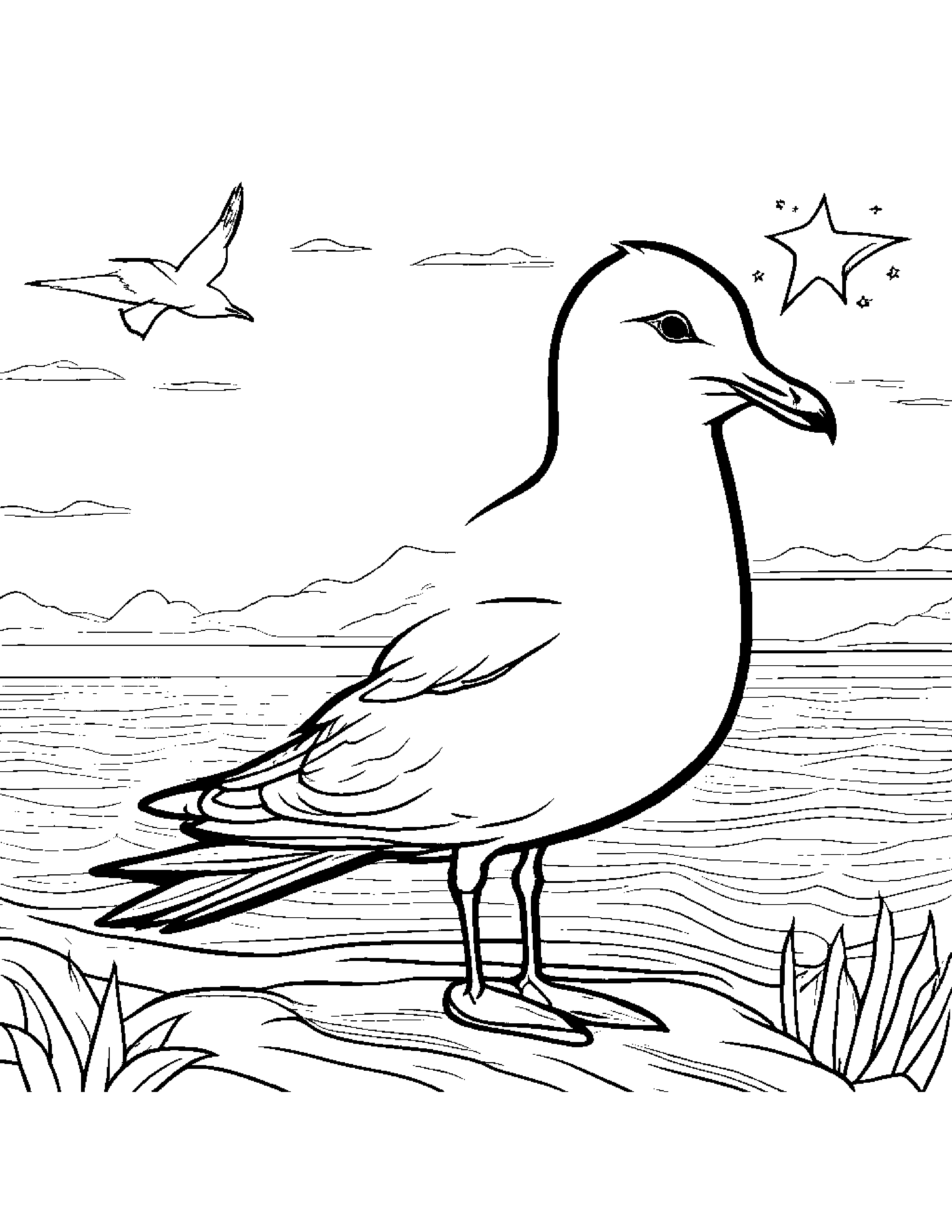 Seagull With A Star Coloring Page (Free Printable PDF)