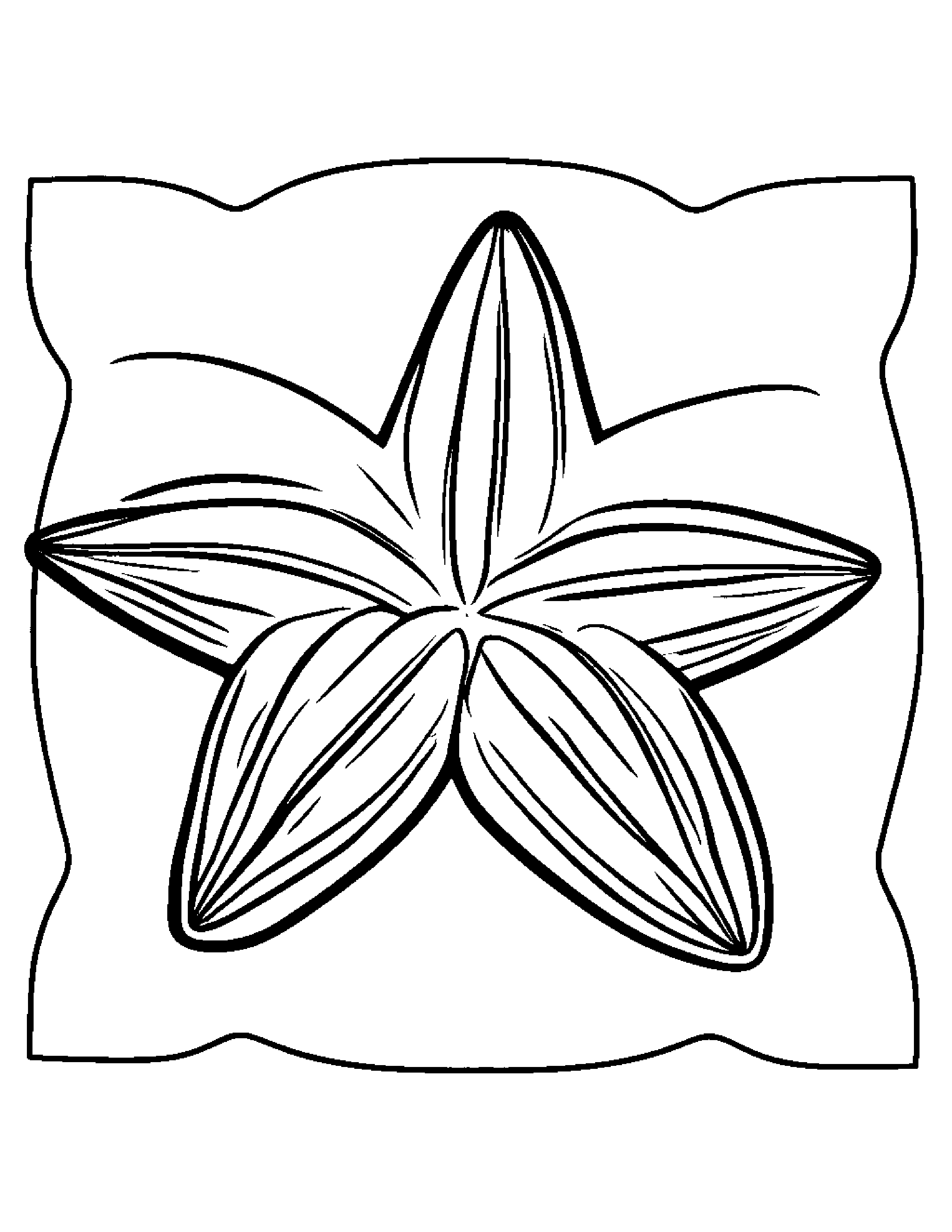 Starfish With A Bow #2 Coloring Page (Free Printable PDF)
