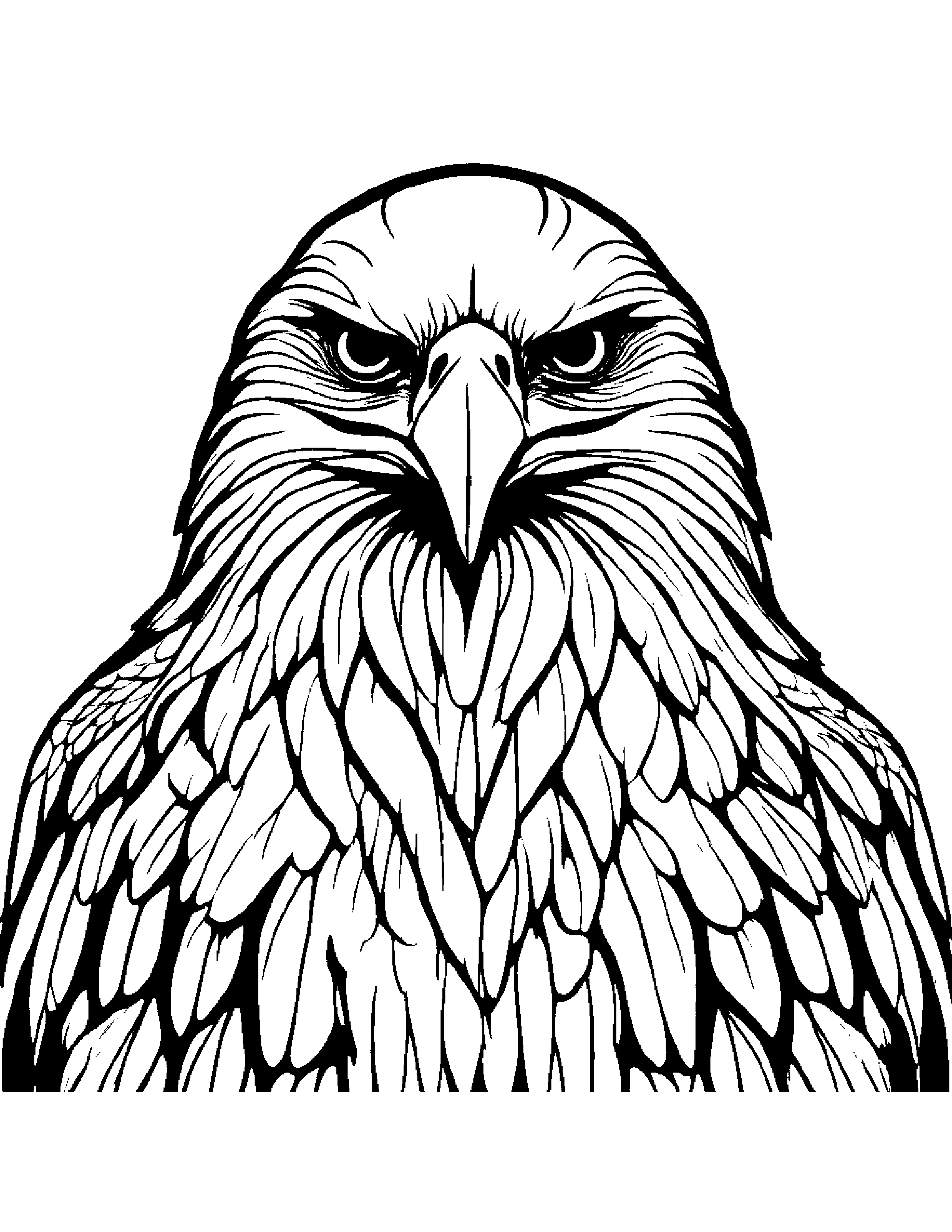 Eagle Coloring Page (Free Printable PDF)