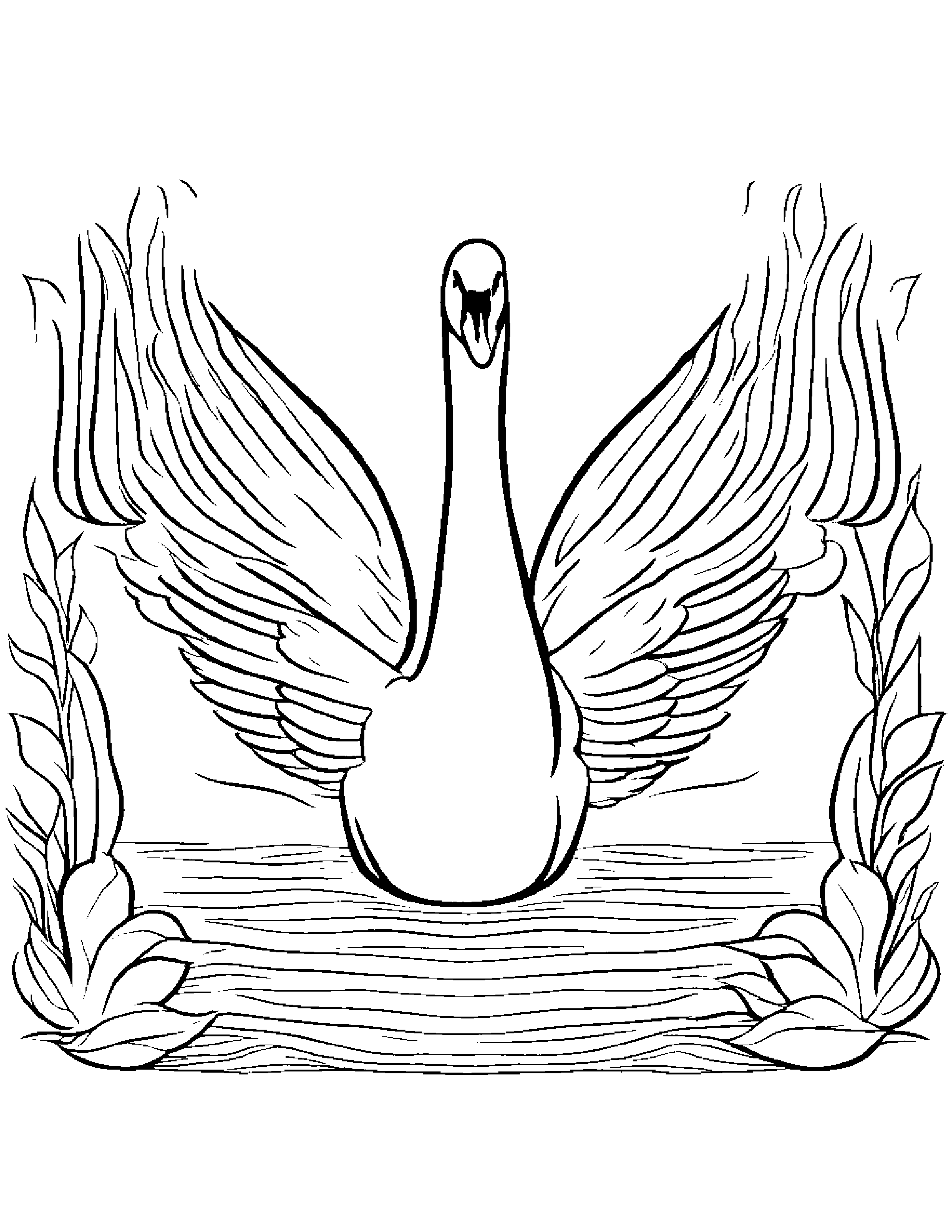 Swan #2 Coloring Page (Free Printable PDF)