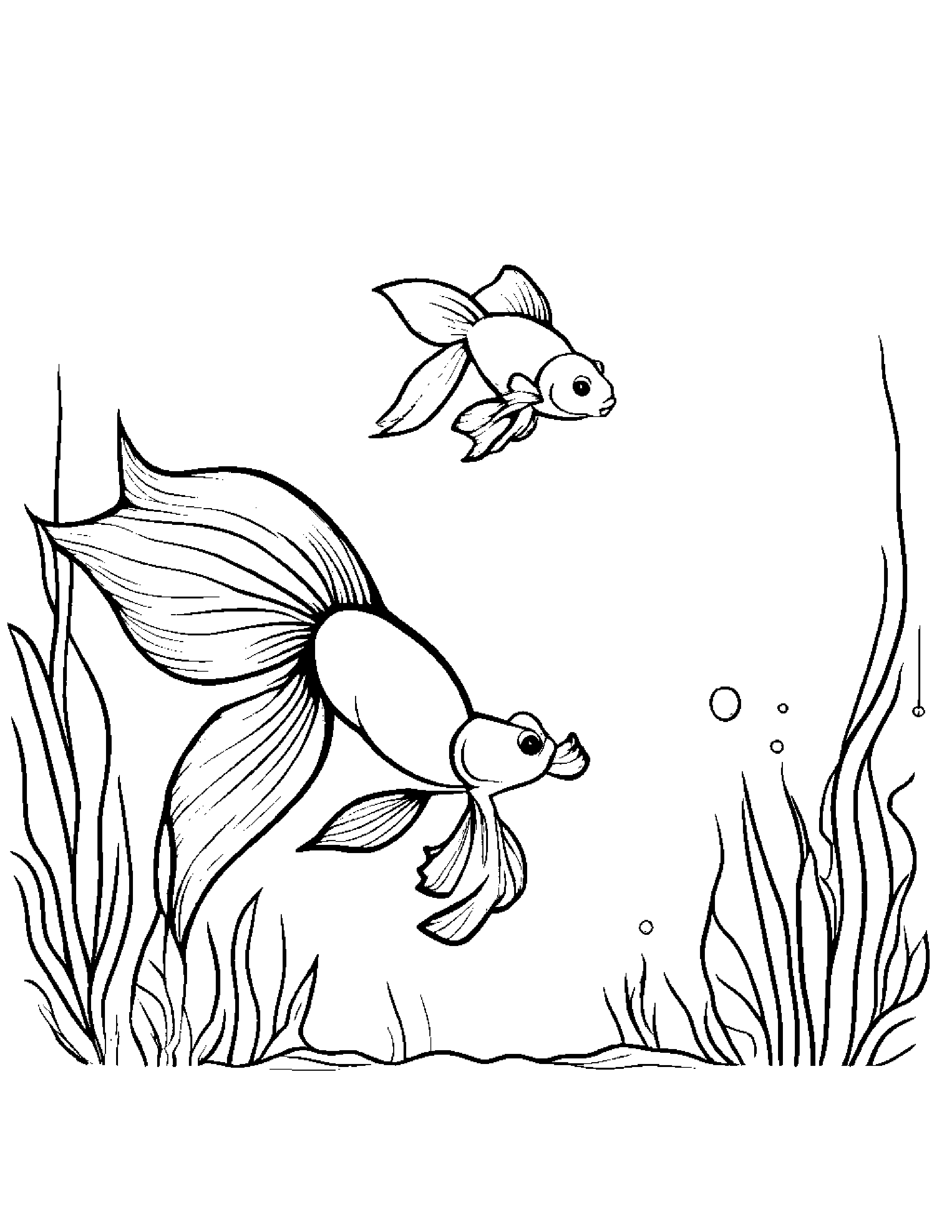 Goldfish With A Tiny Bow Coloring Page (Free Printable PDF)