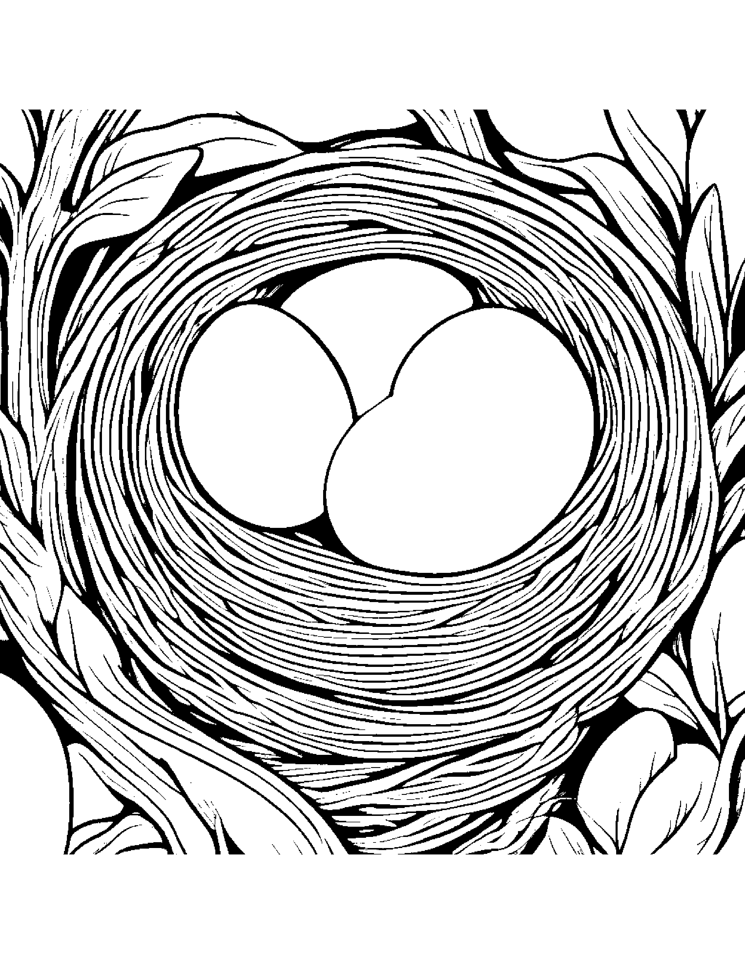 Little Nest With Eggs Coloring Page (Free Printable PDF)
