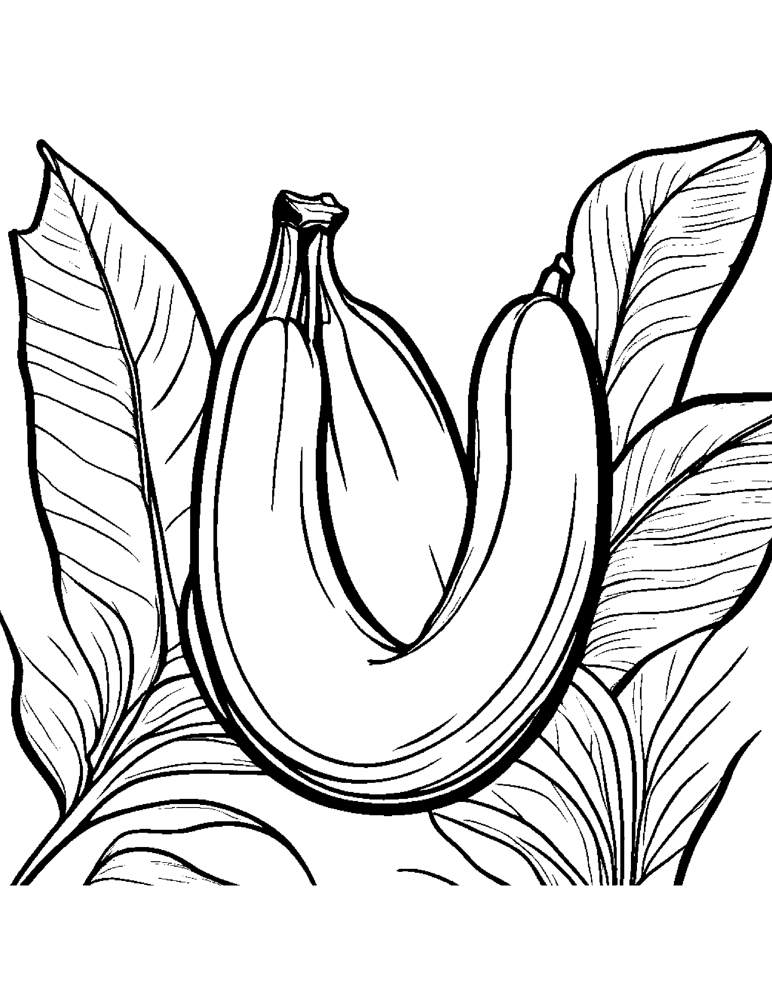Banana With A Leaf Sprig #2 Coloring Page (Free Printable PDF)