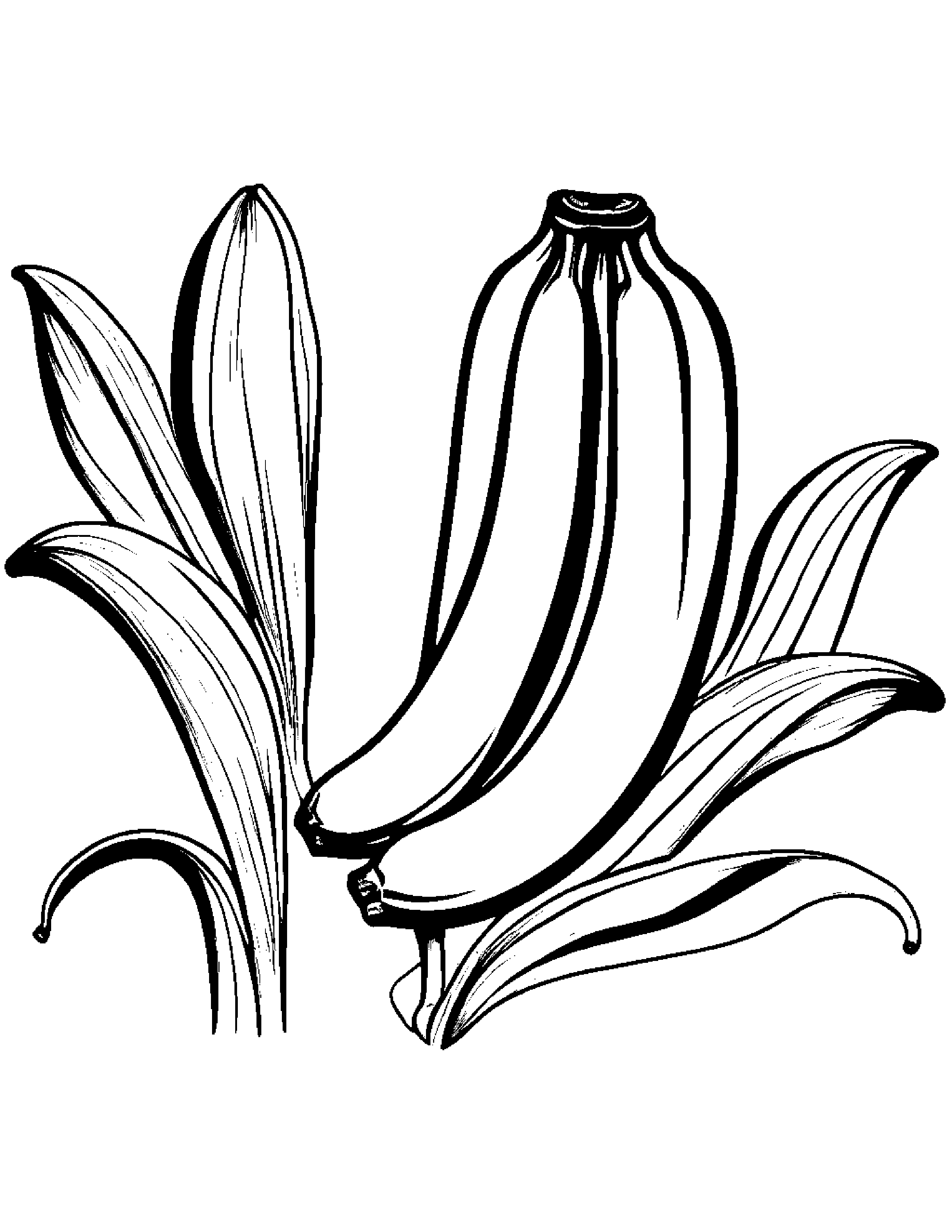 Banana With A Leaf Sprig #3 Coloring Page (Free Printable PDF)