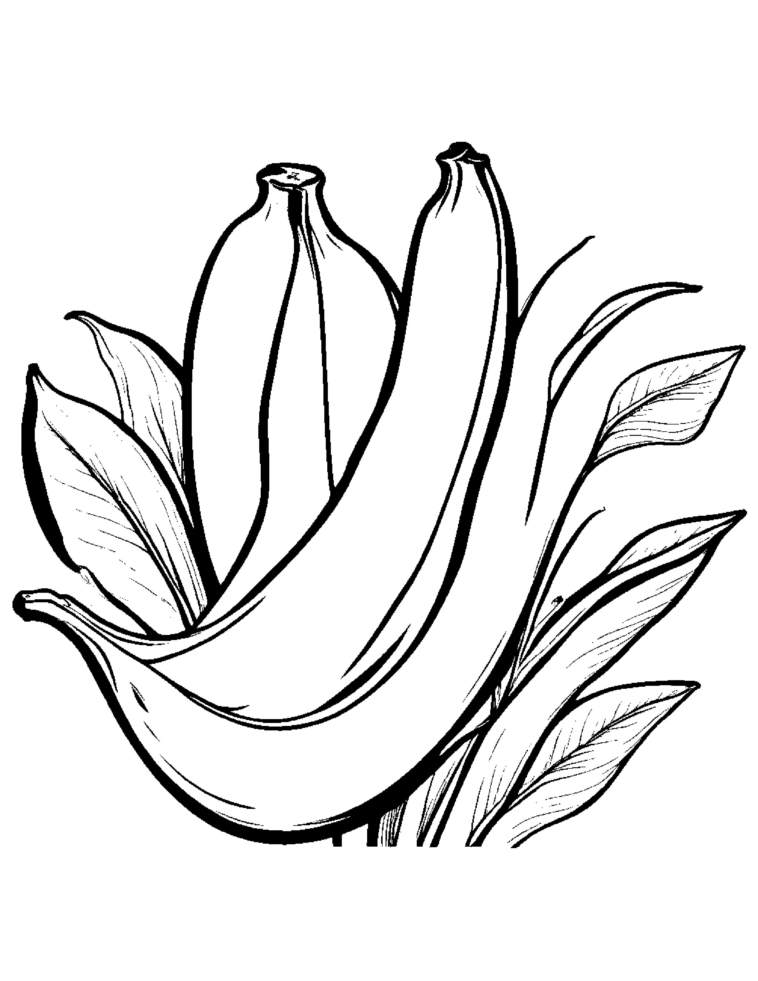 Banana With A Leaf Sprig #4 Coloring Page (Free Printable PDF)