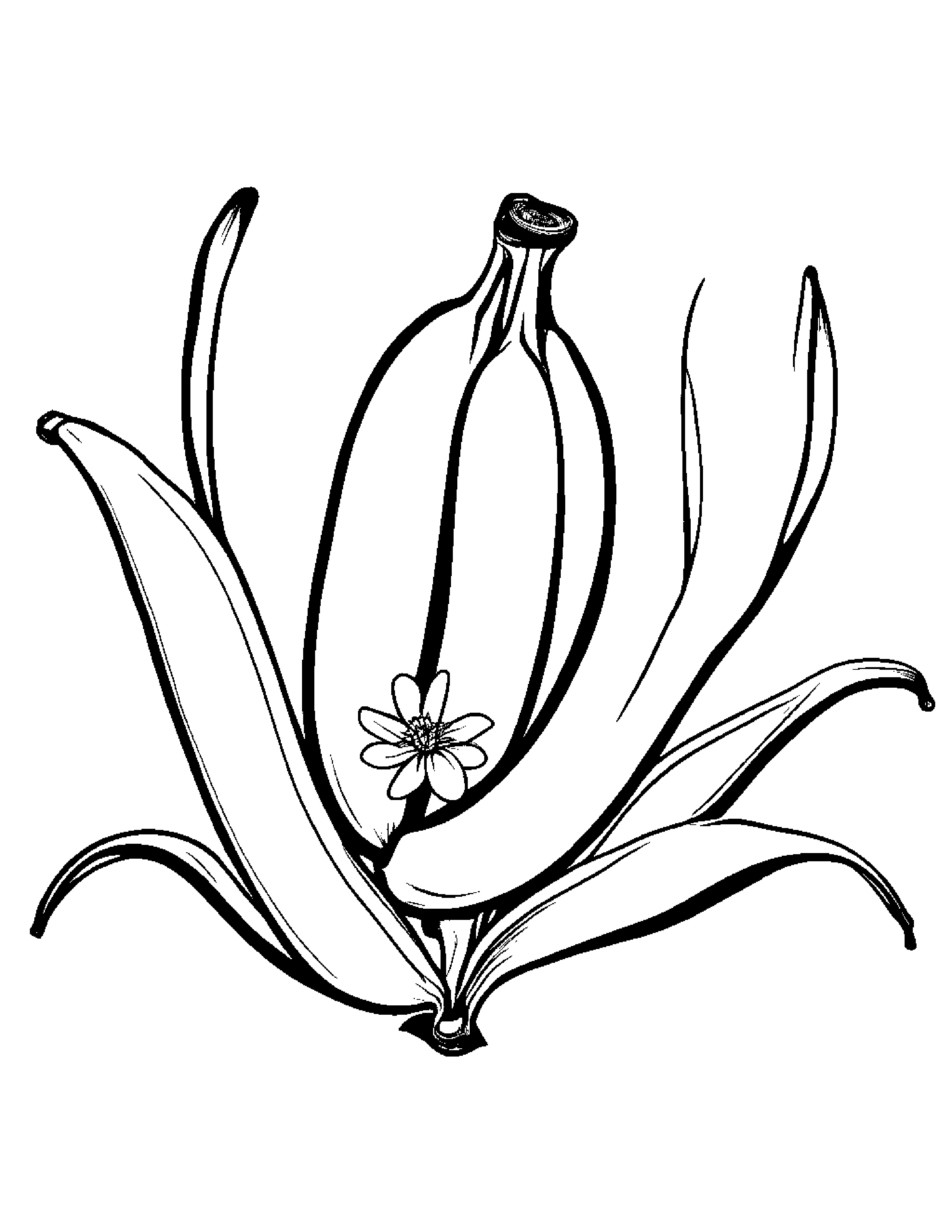 Banana With A Small Flower #2 Coloring Page (Free Printable PDF)