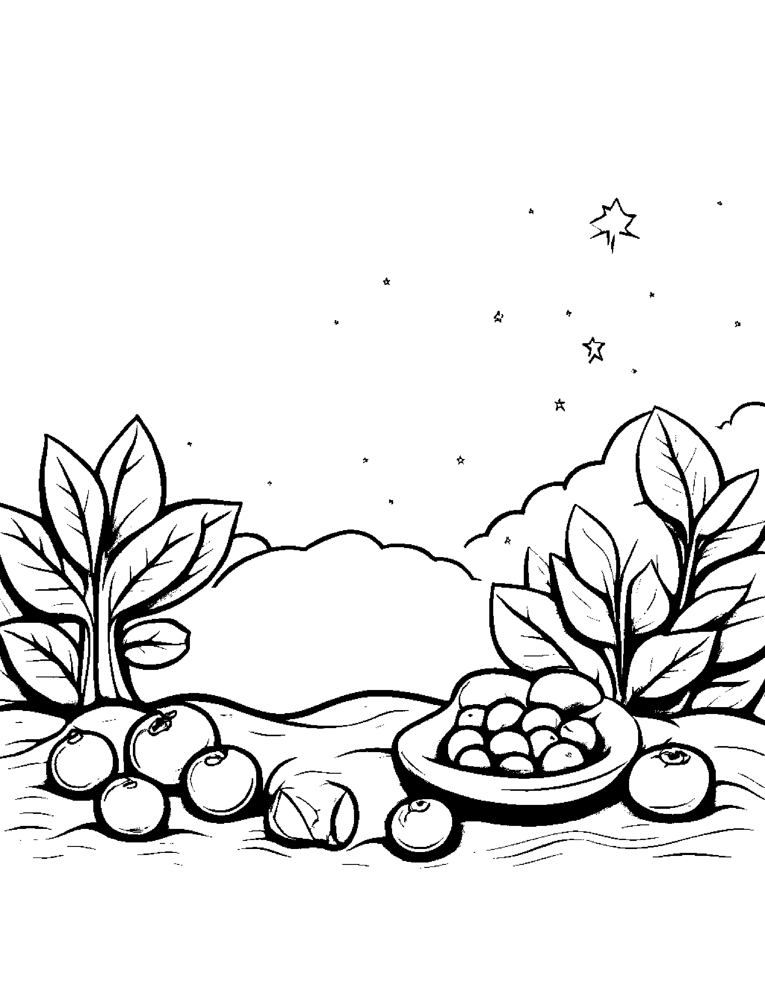 Blueberries With A Friendly Star Beside A Sandbox #3 Coloring Page (Free Printable PDF)