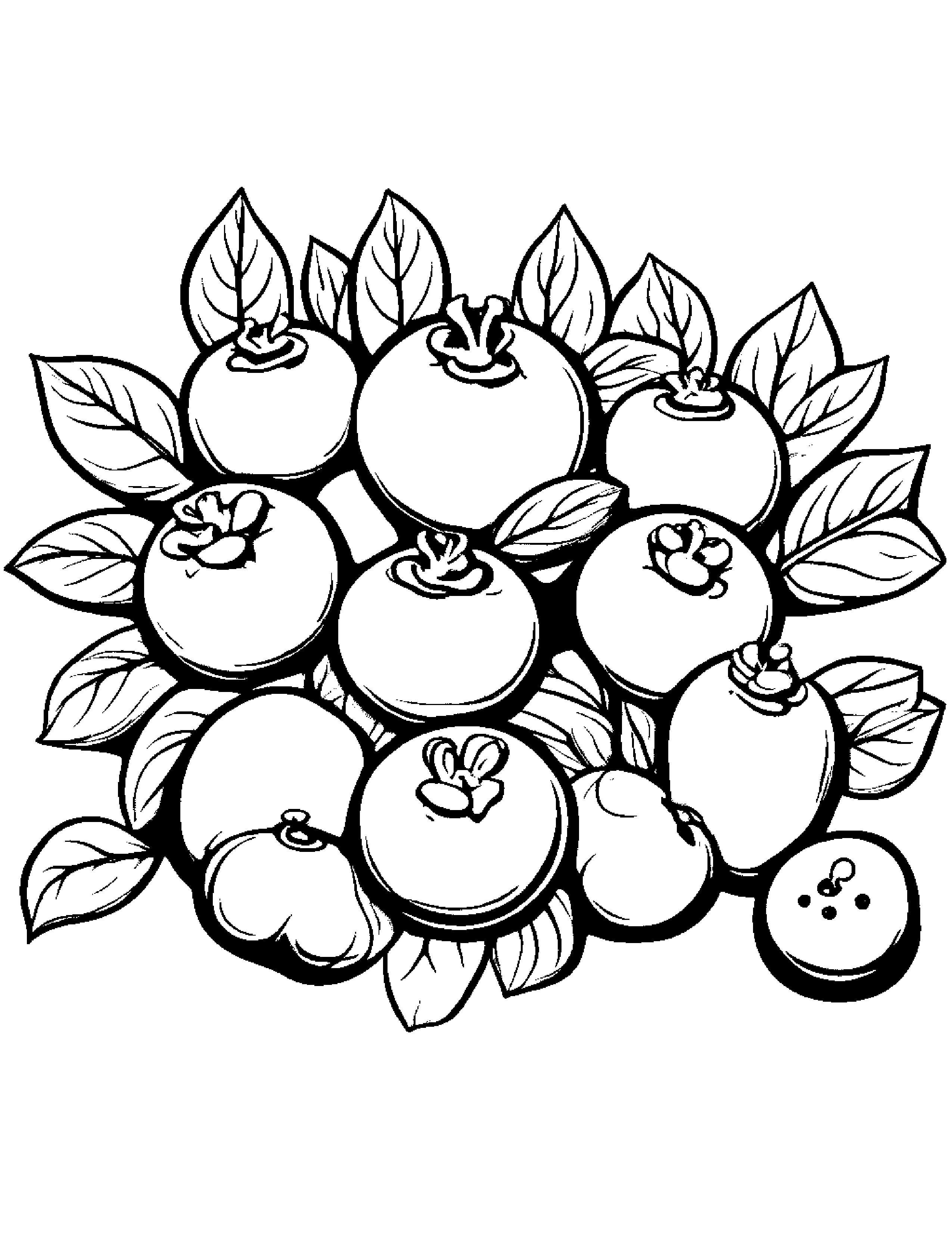 Blueberries With A Ribbon #2 Coloring Page (Free Printable PDF)