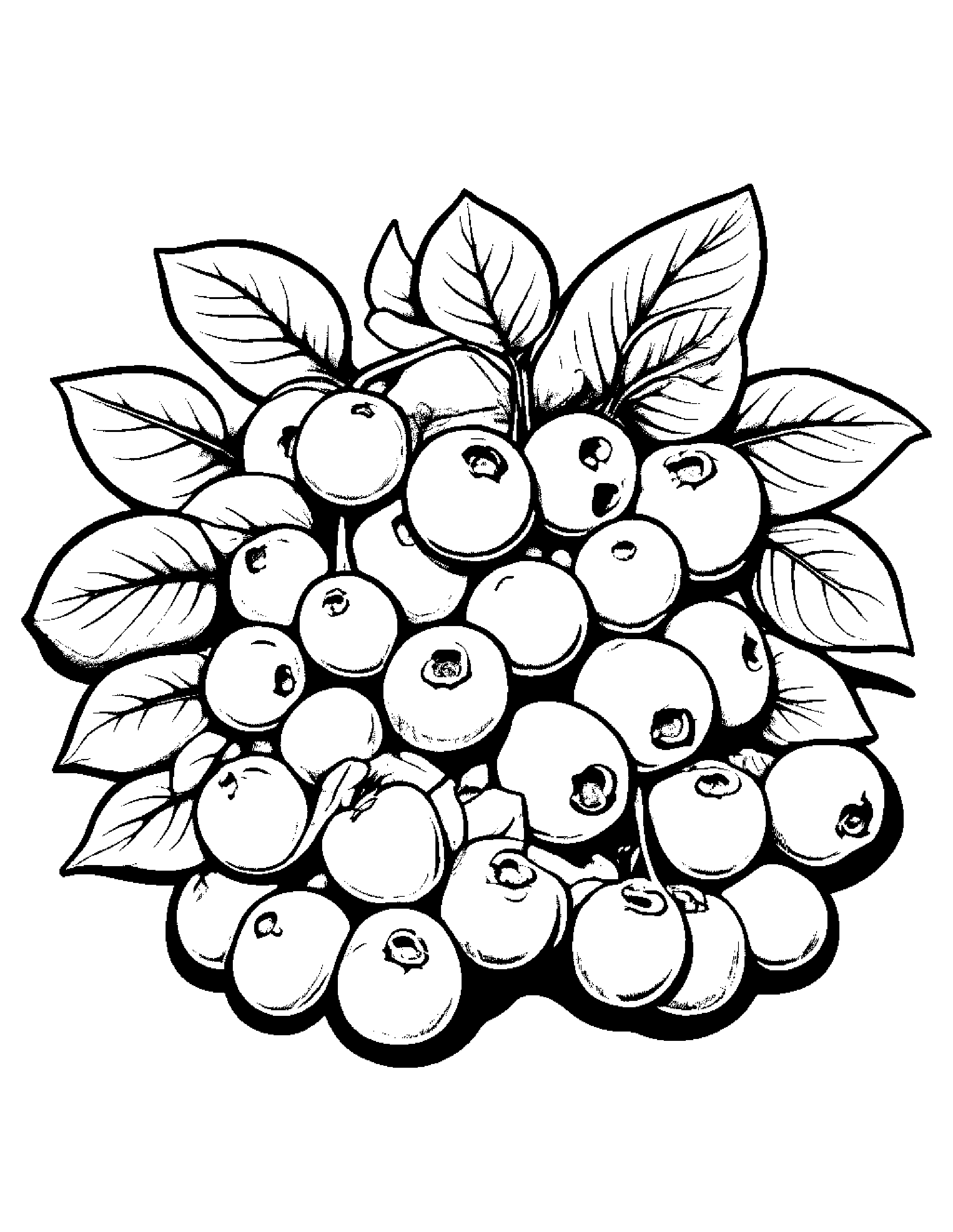 Blueberries With A Ribbon #3 Coloring Page (Free Printable PDF)