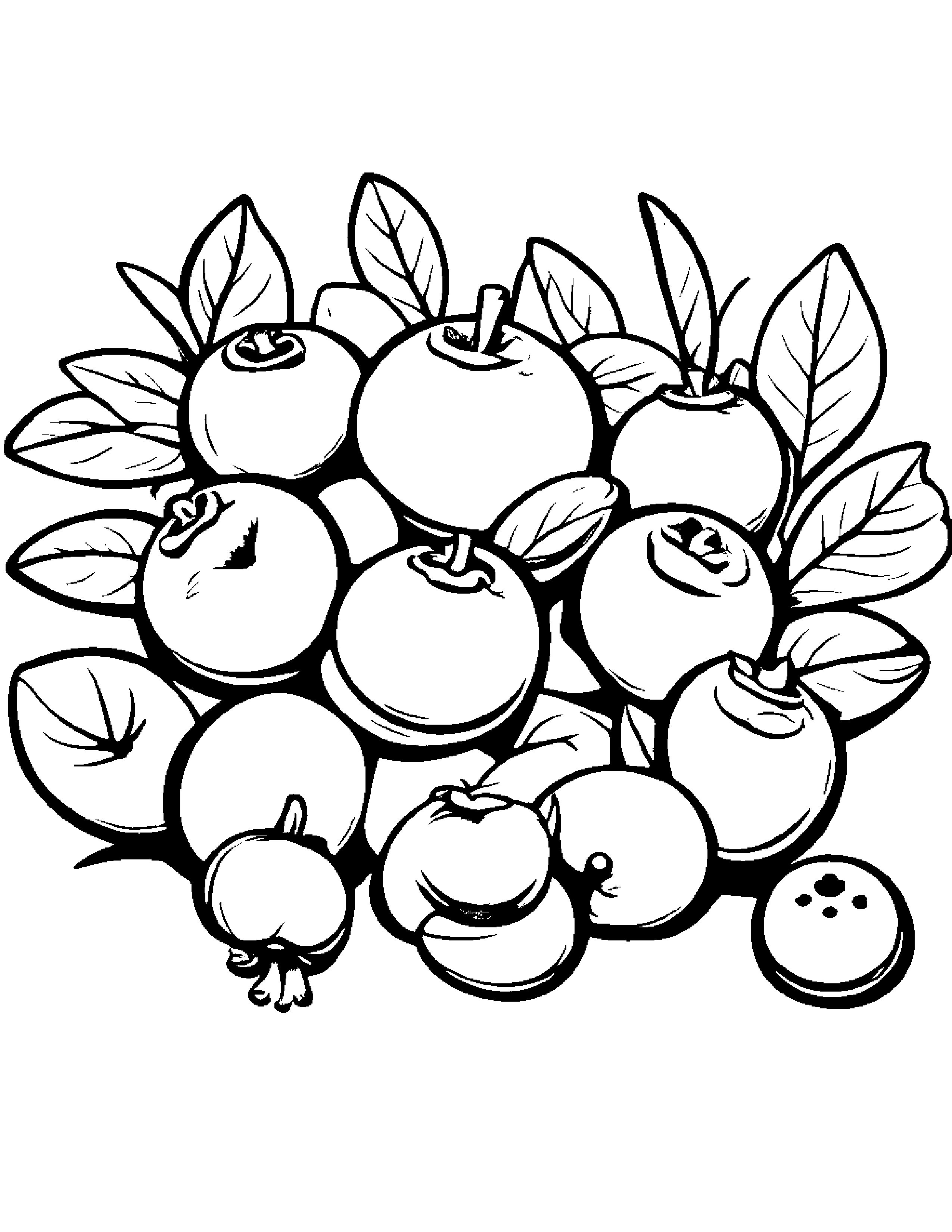 Blueberries With A Tiny Bow #2 Coloring Page (Free Printable PDF)