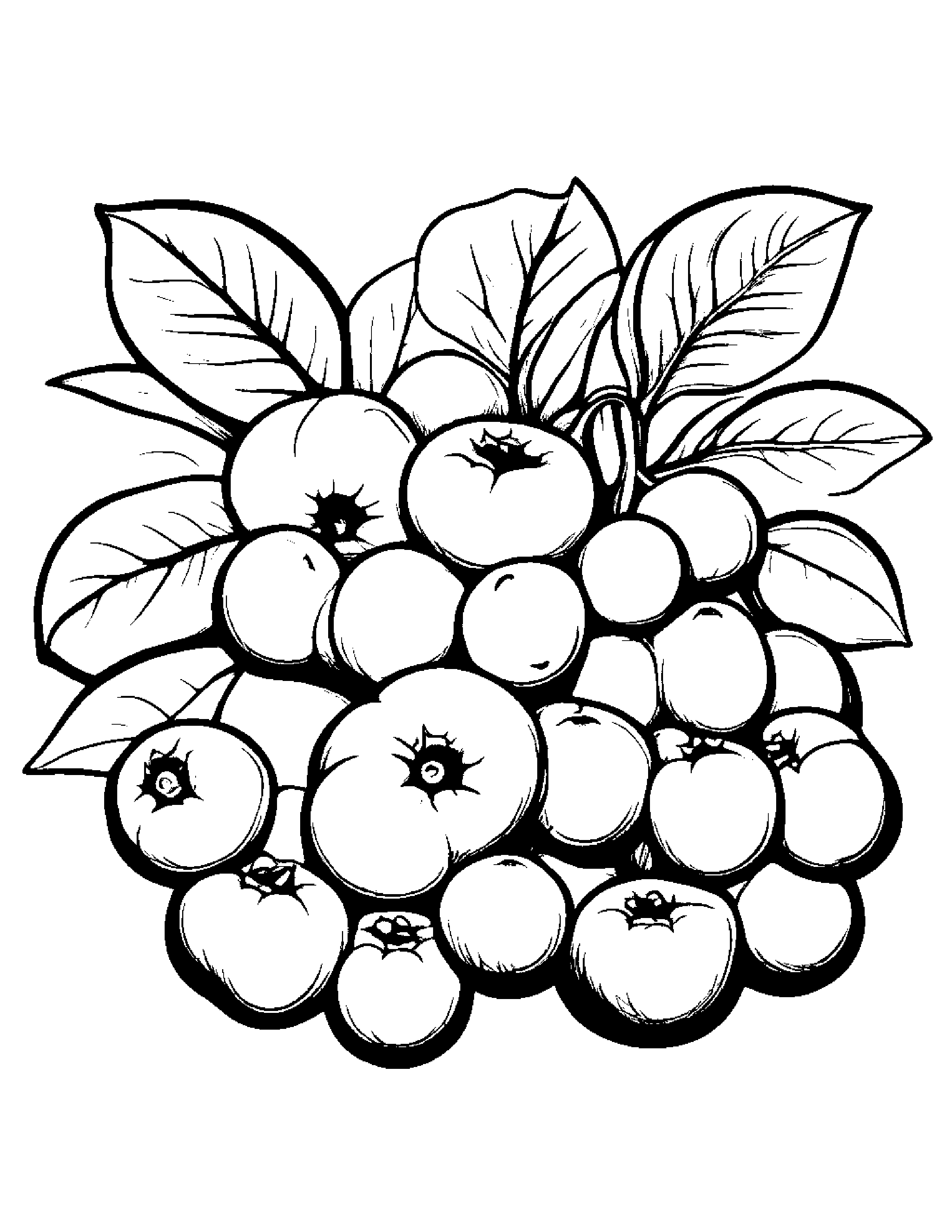 Blueberries With A Tiny Bow #3 Coloring Page (Free Printable PDF)