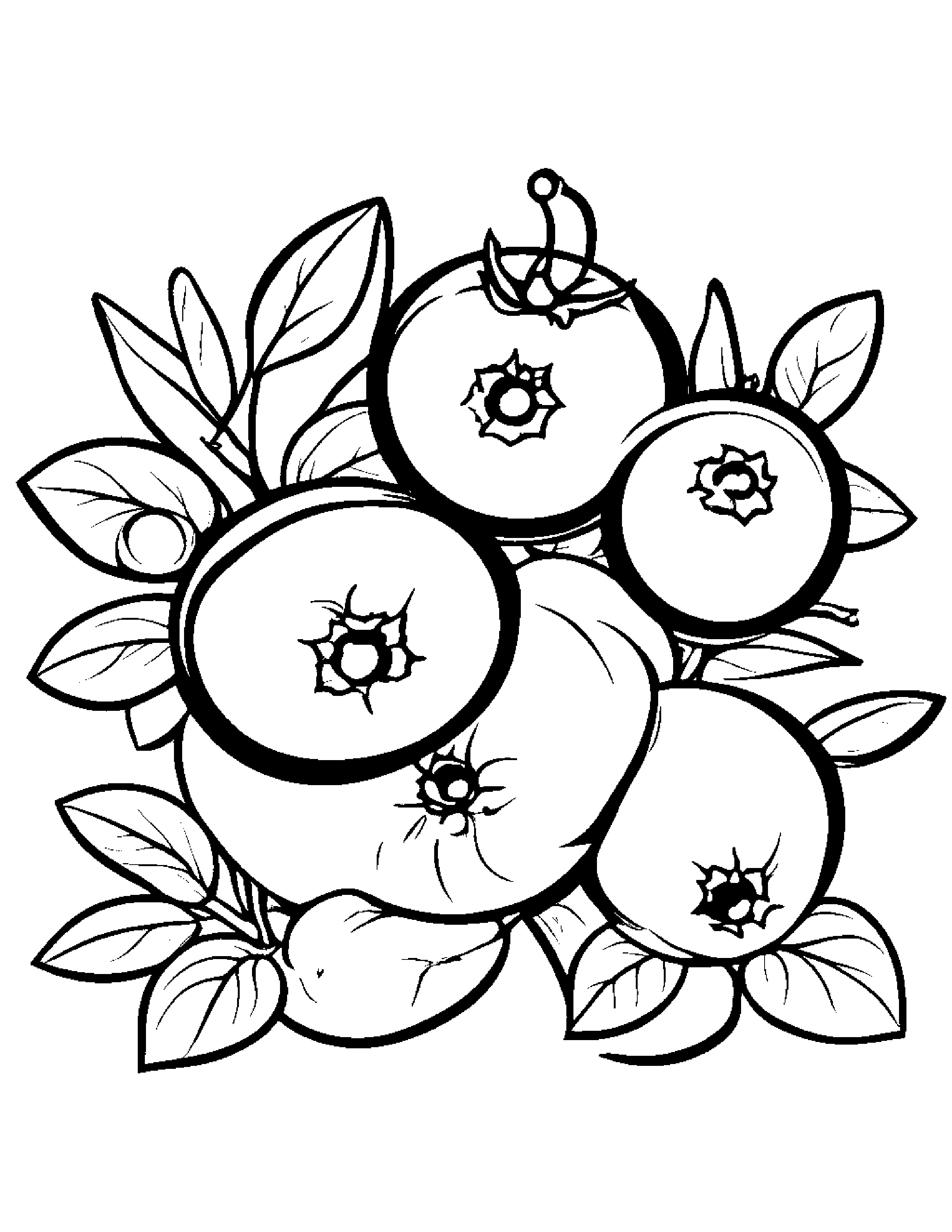 Blueberries With Sparkles #2 Coloring Page (Free Printable PDF)