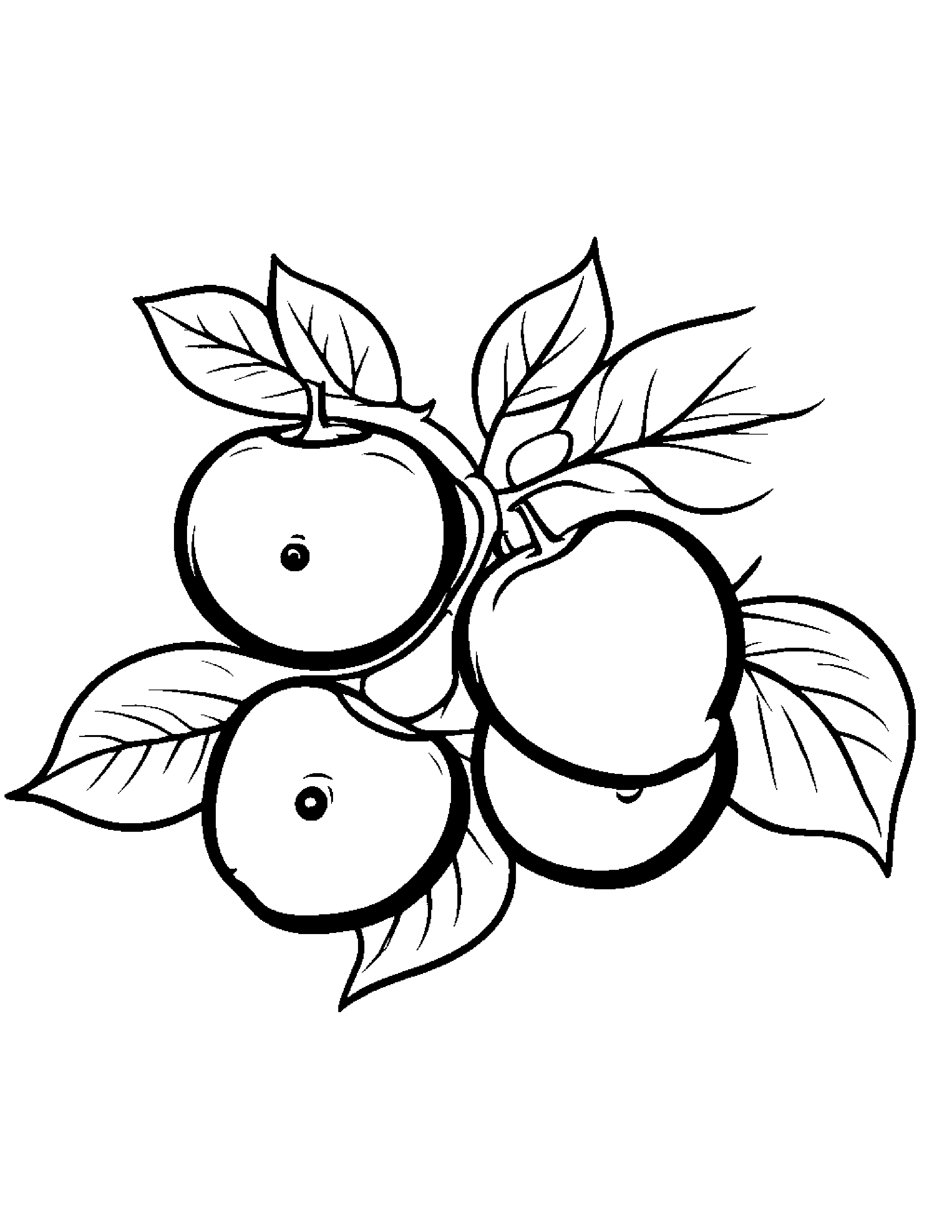 Blueberries With Sparkles #3 Coloring Page (Free Printable PDF)