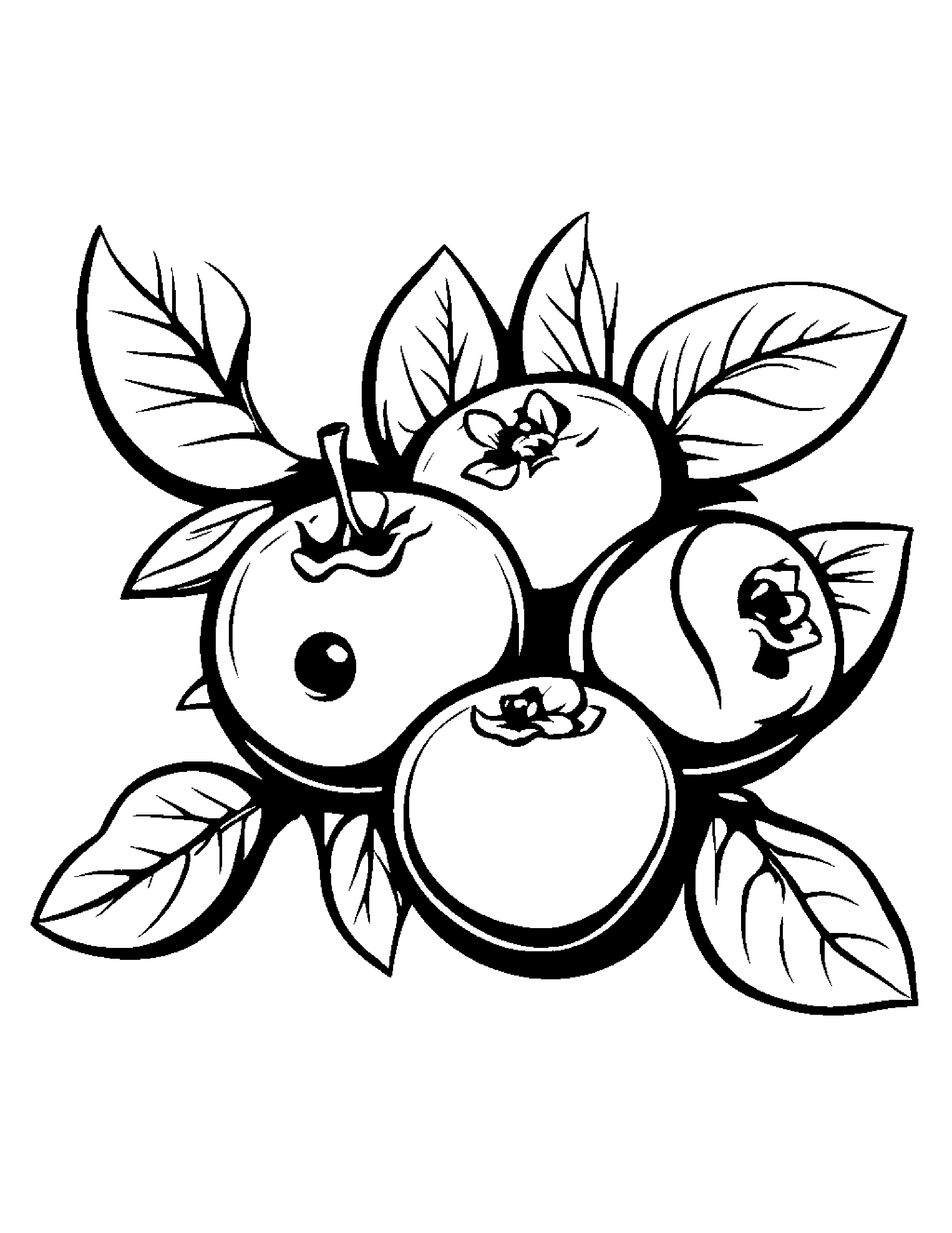 Blueberries With Sparkles #5 Coloring Page (Free Printable PDF)