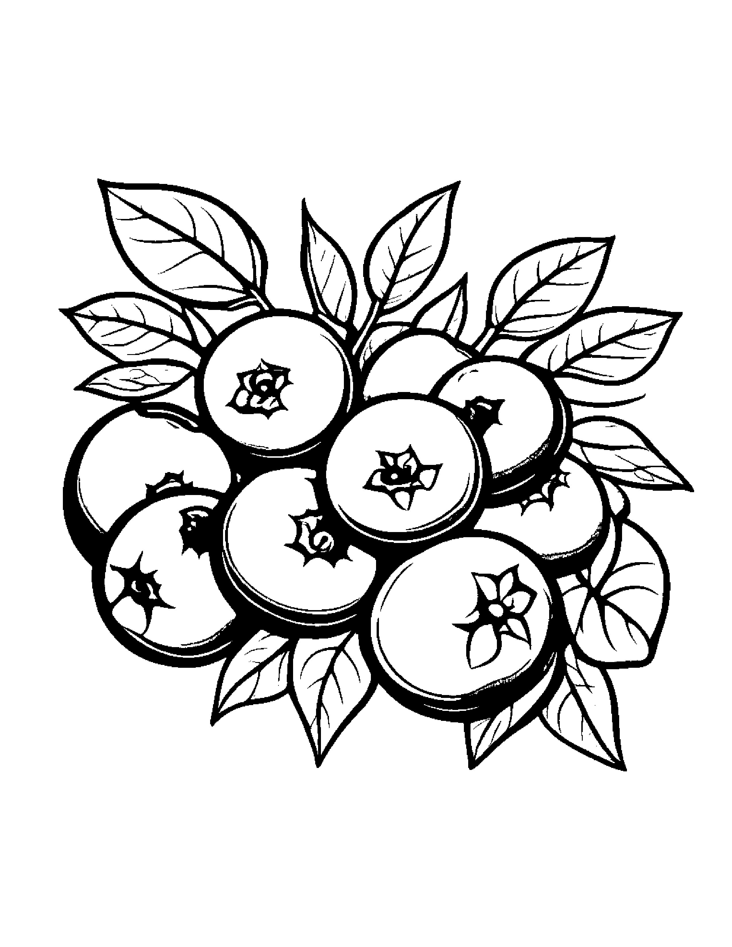 Blueberries With Sparkles Coloring Page (Free Printable PDF)