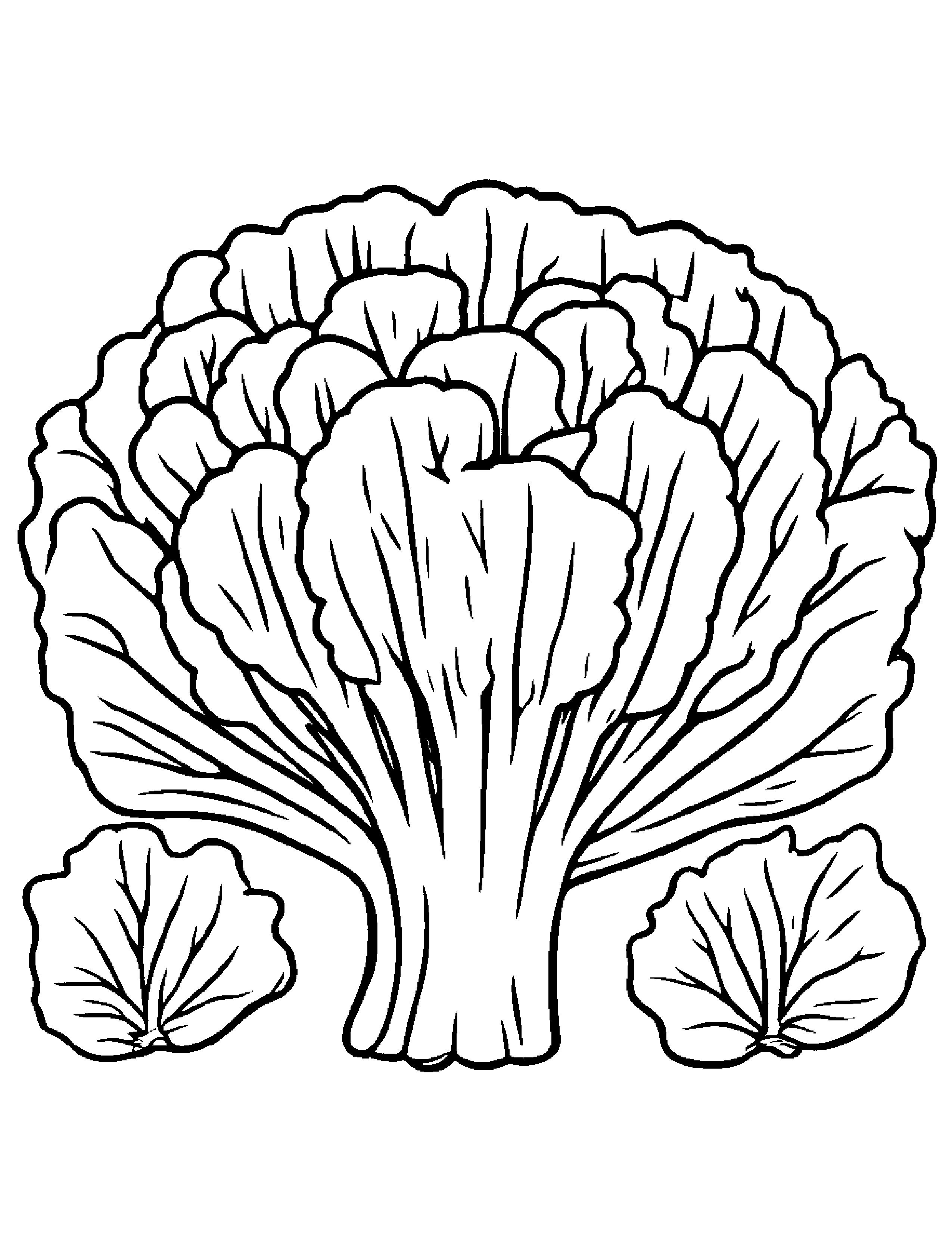 Broccoli With A Leaf Sprig Coloring Page (Free Printable PDF)
