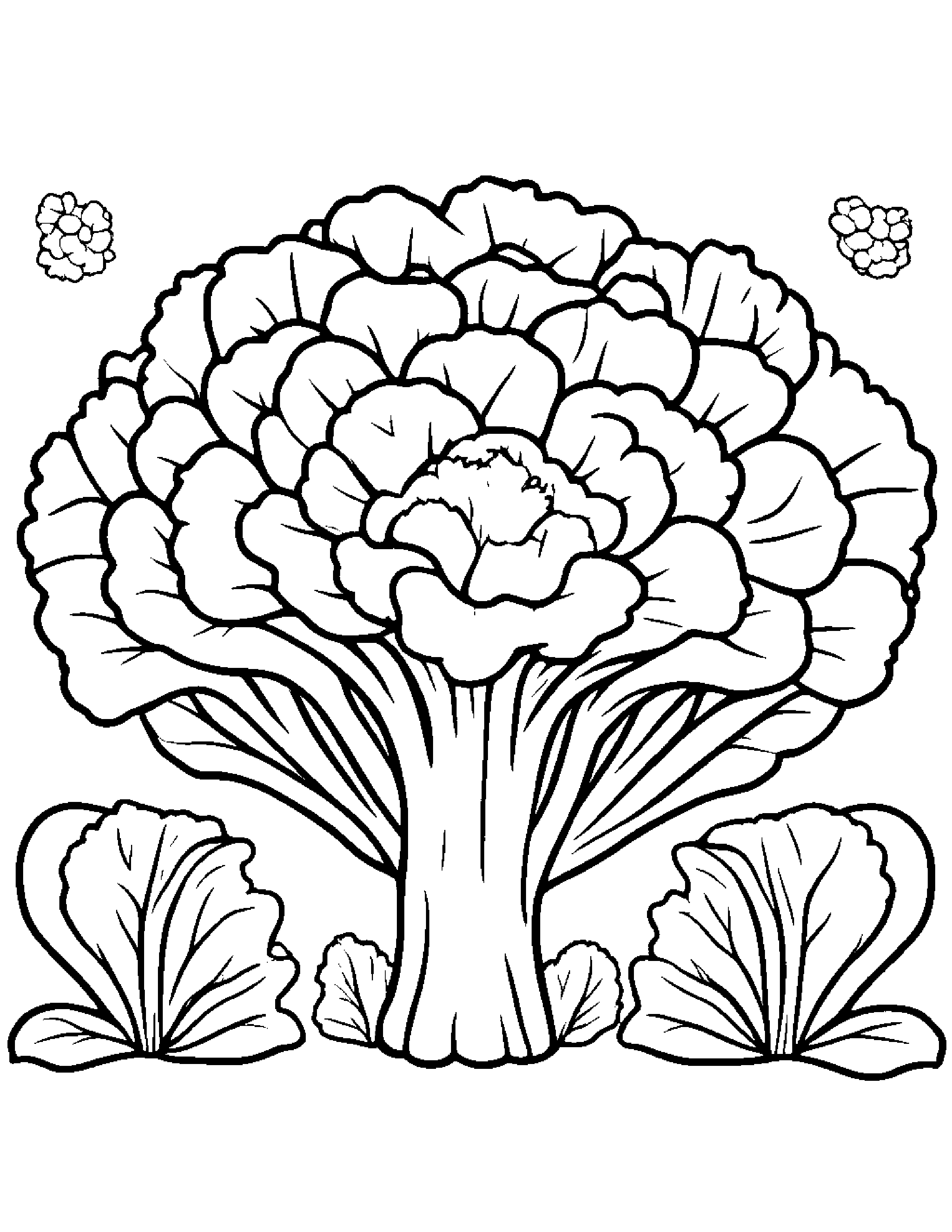 Broccoli With A Small Flower #2 Coloring Page (Free Printable PDF)