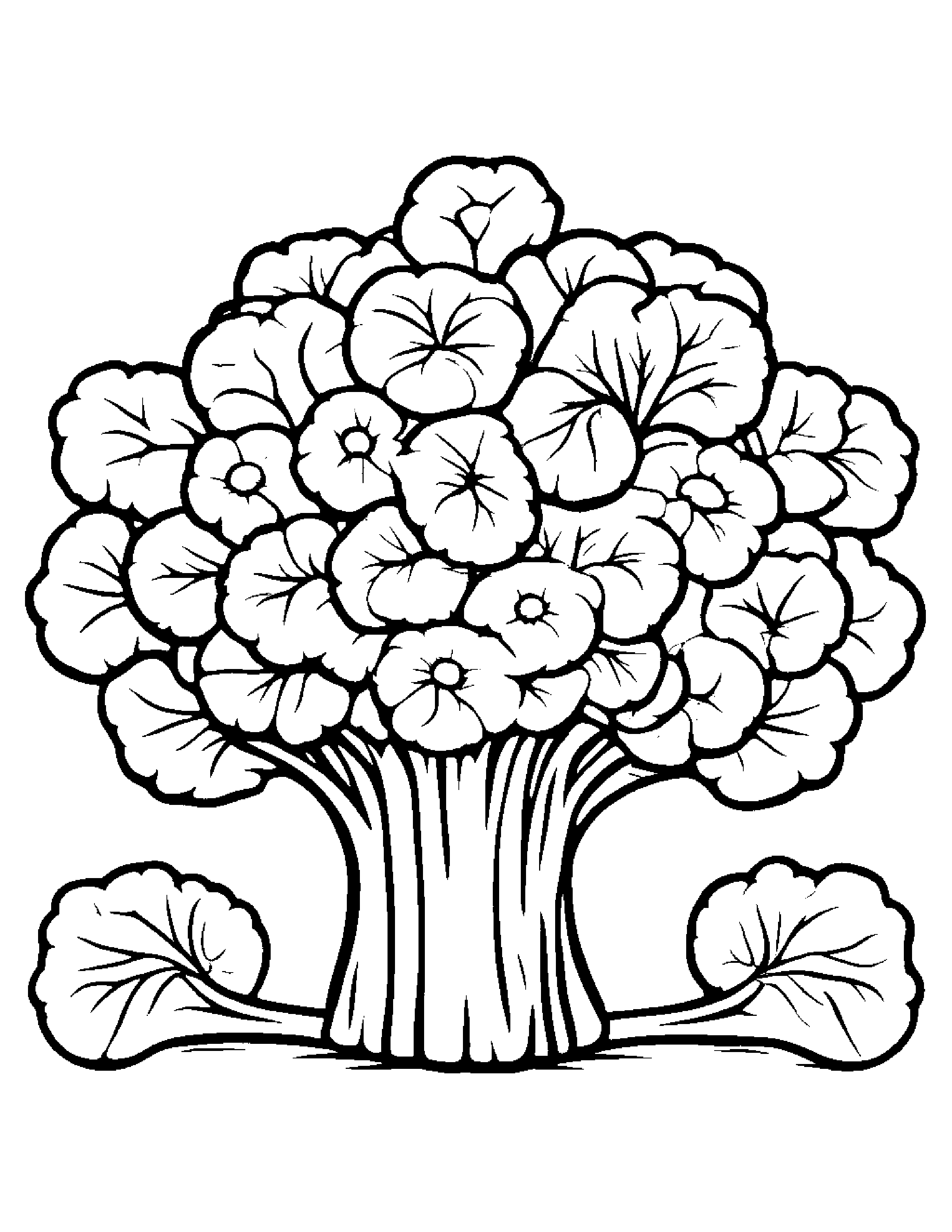Broccoli With A Small Flower #3 Coloring Page (Free Printable PDF)