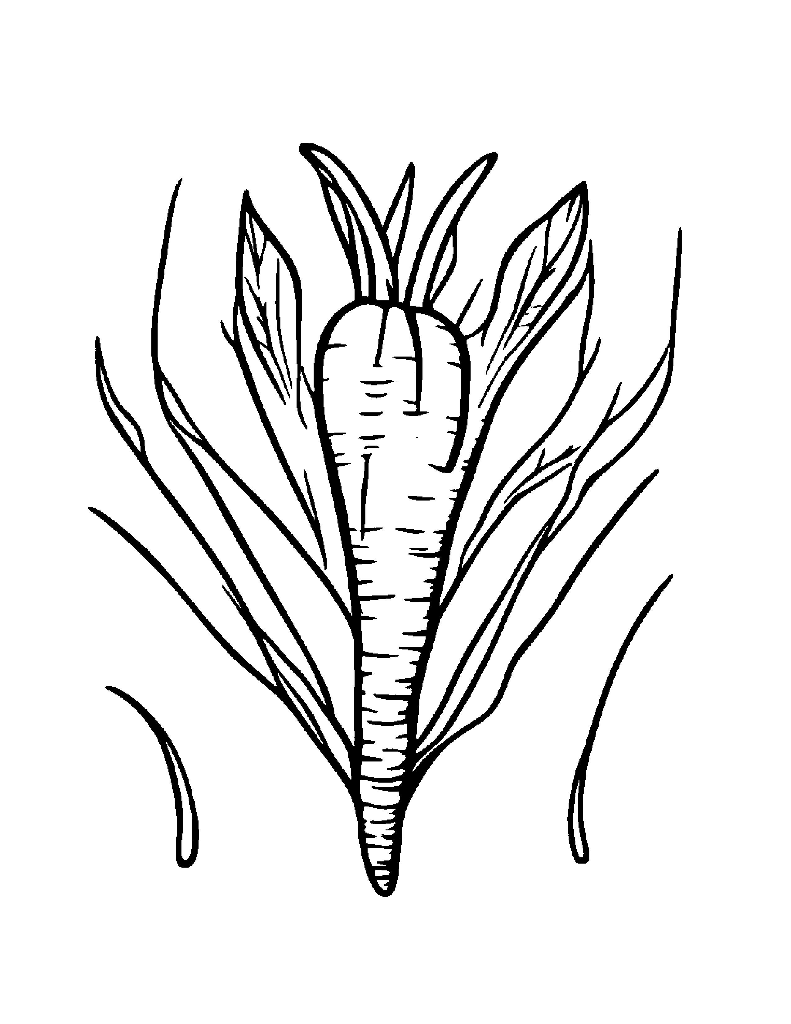 Carrot With A Leaf Sprig Coloring Page (Free Printable PDF)