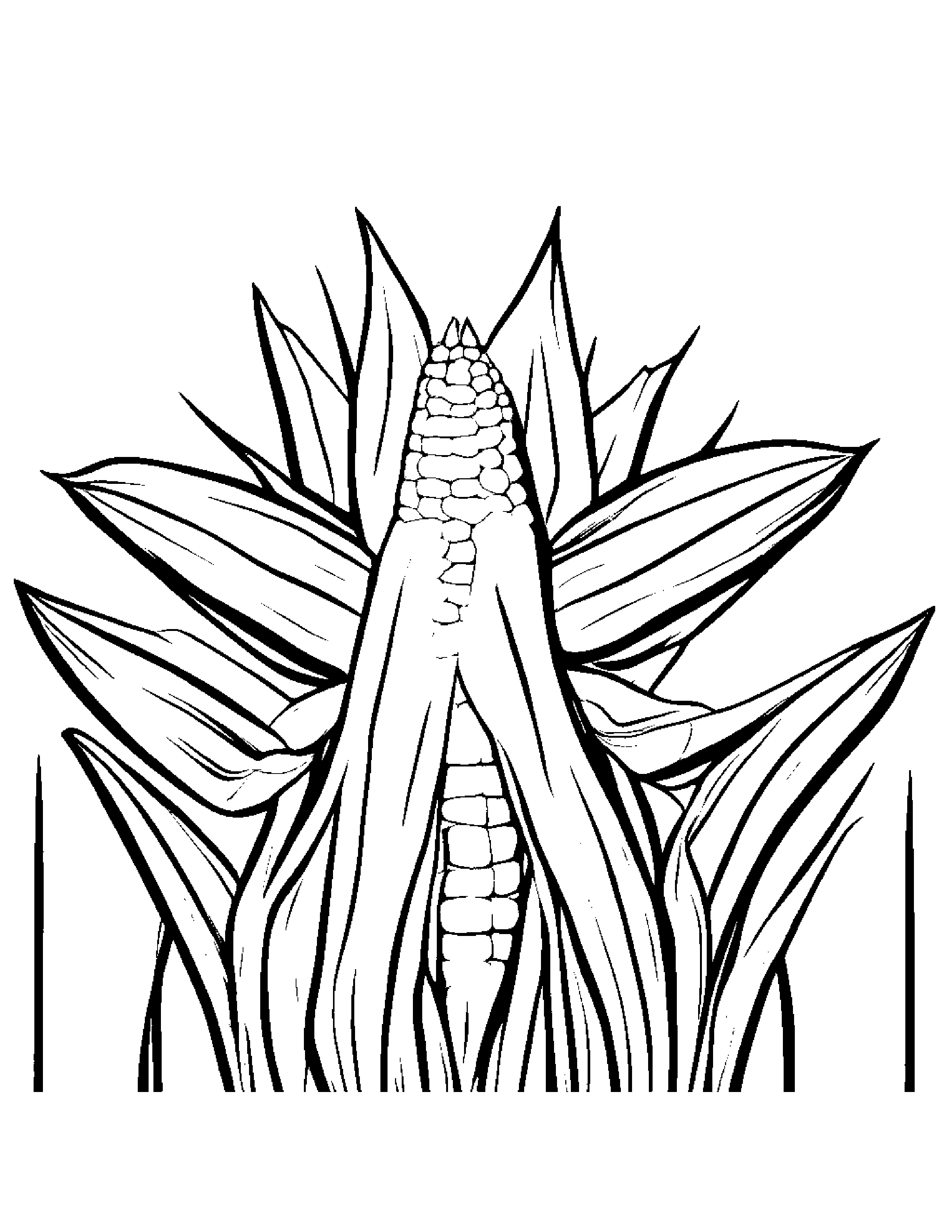 Corn Cob With A Friendly Star #3 Coloring Page (Free Printable PDF)