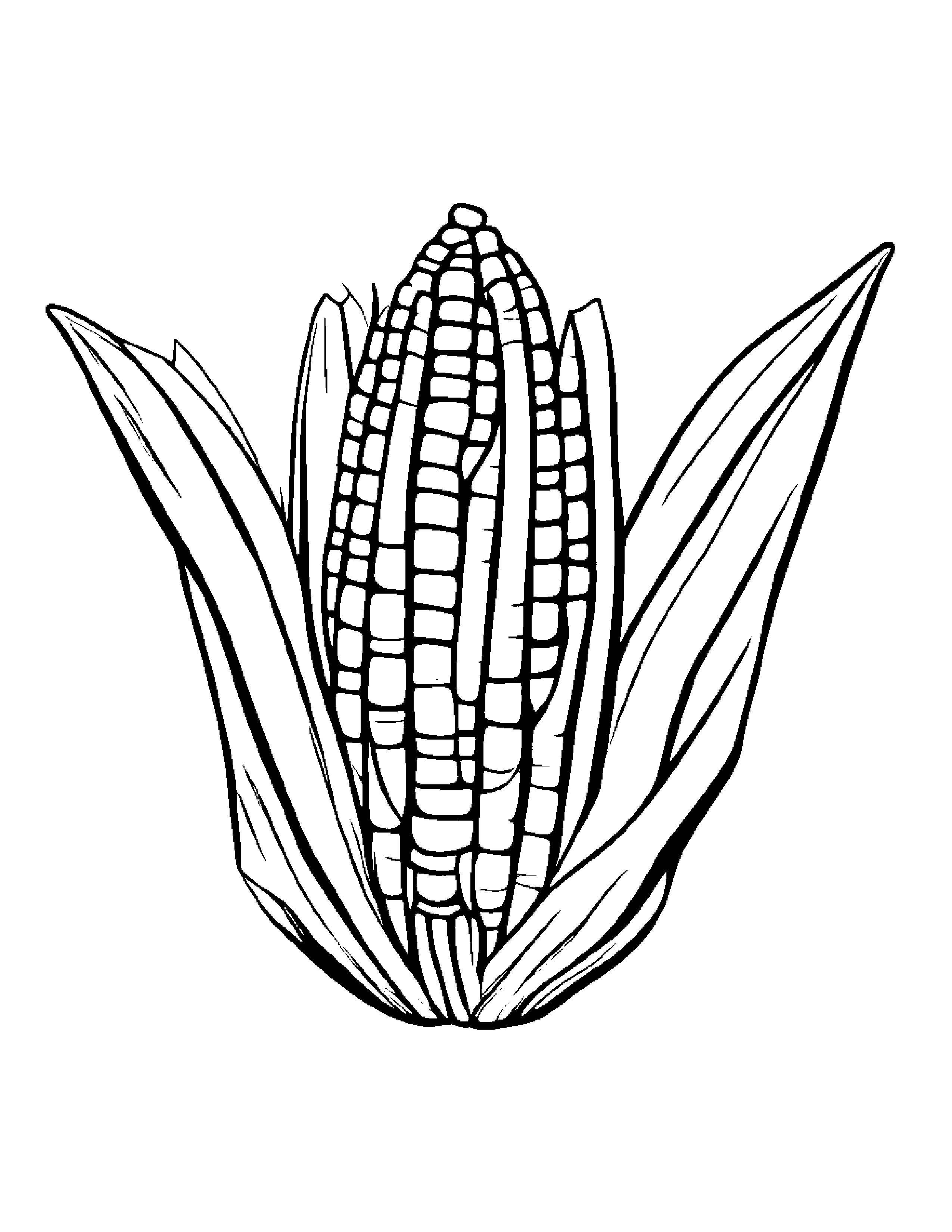 Corn Cob With A Soft Scarf #3 Coloring Page (Free Printable PDF)