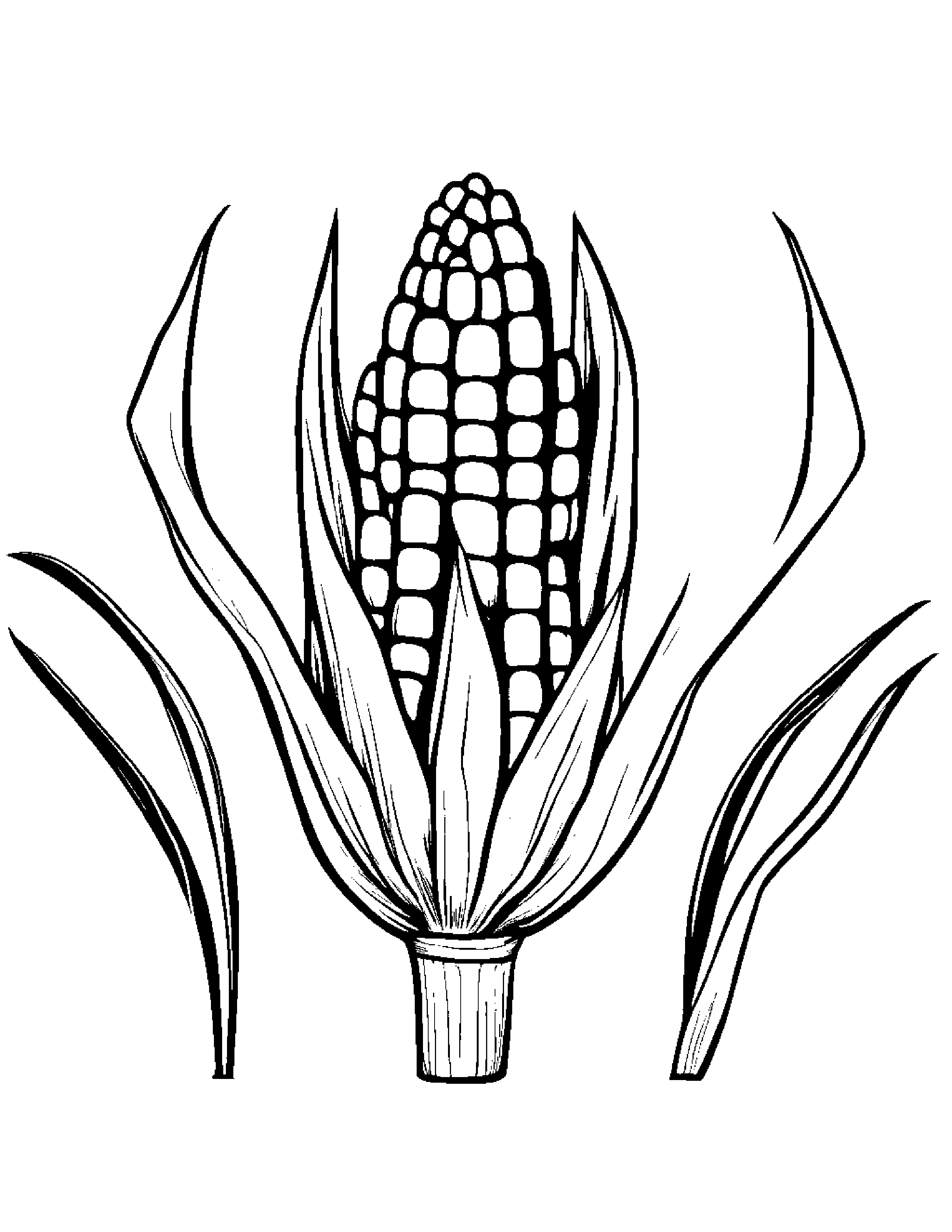 Corn Cob With A Soft Scarf Coloring Page (Free Printable PDF)