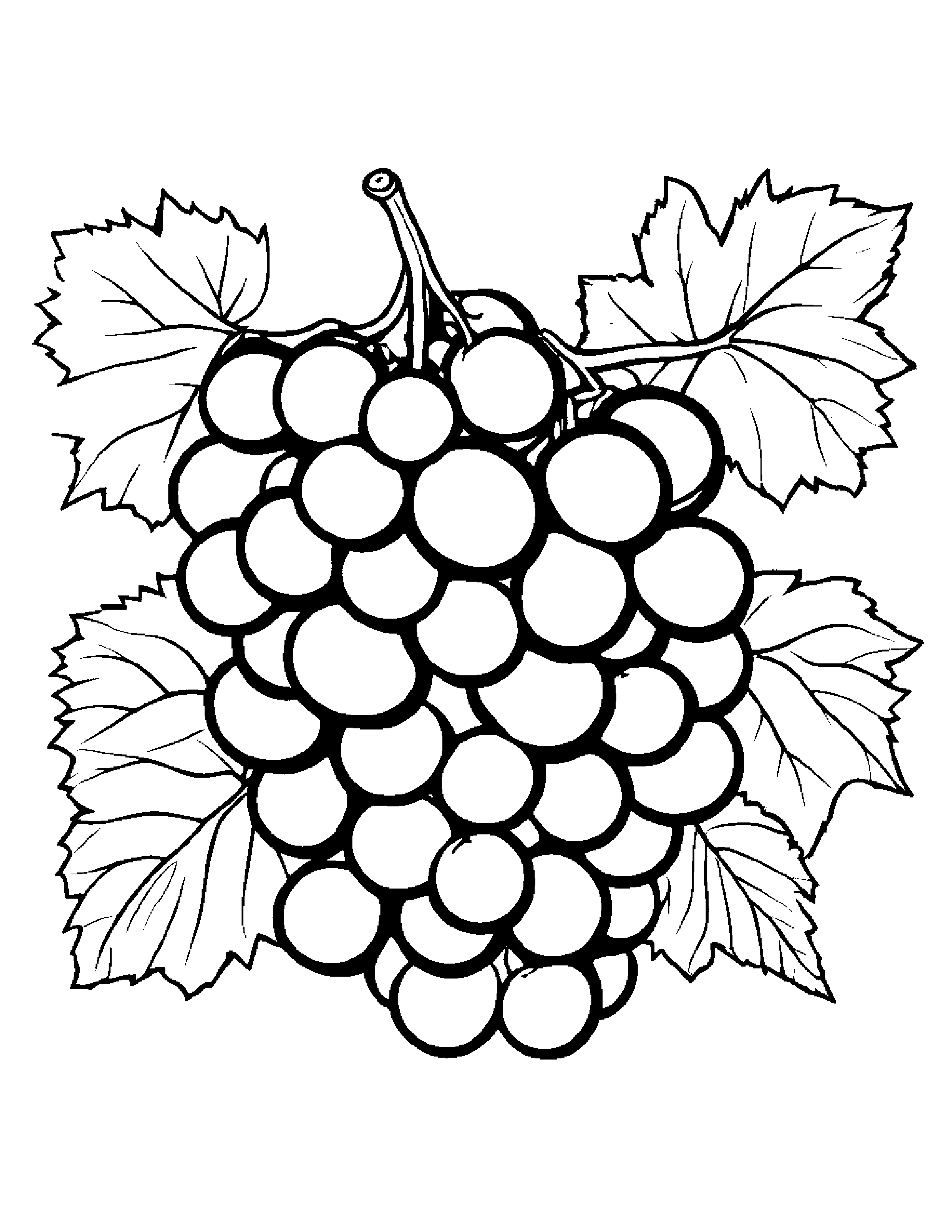 Grapes With A Friendly Star #2 Coloring Page (Free Printable PDF)