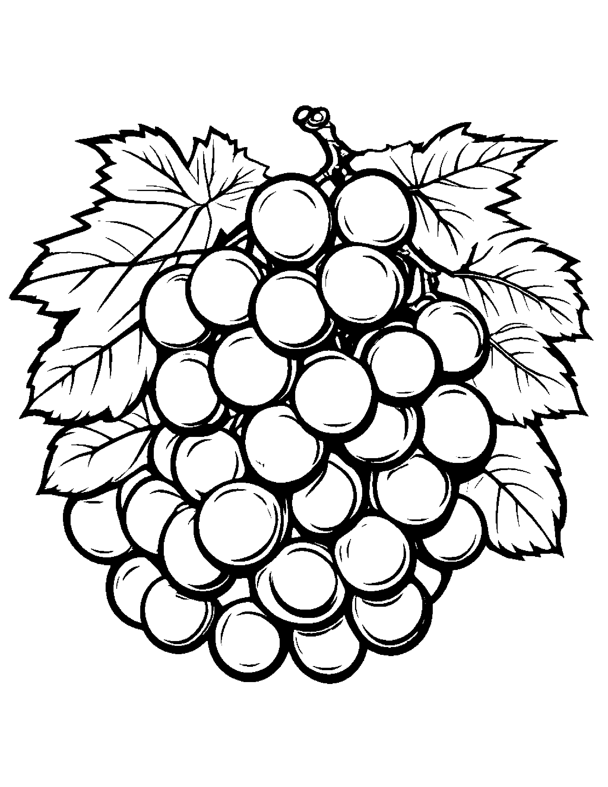 Grapes With A Friendly Star #3 Coloring Page (Free Printable PDF)