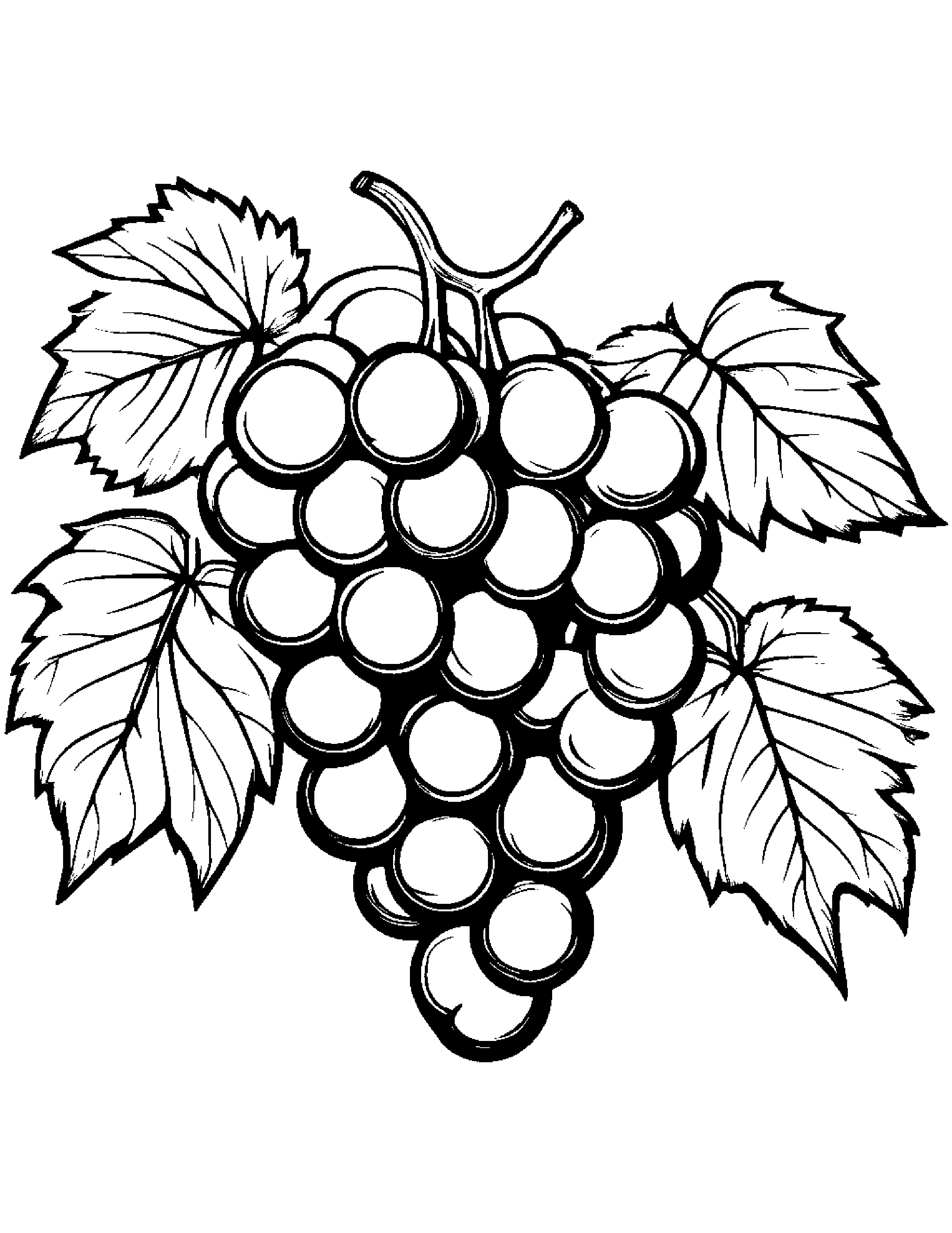 Grapes With A Leaf Sprig #2 Coloring Page (Free Printable PDF)