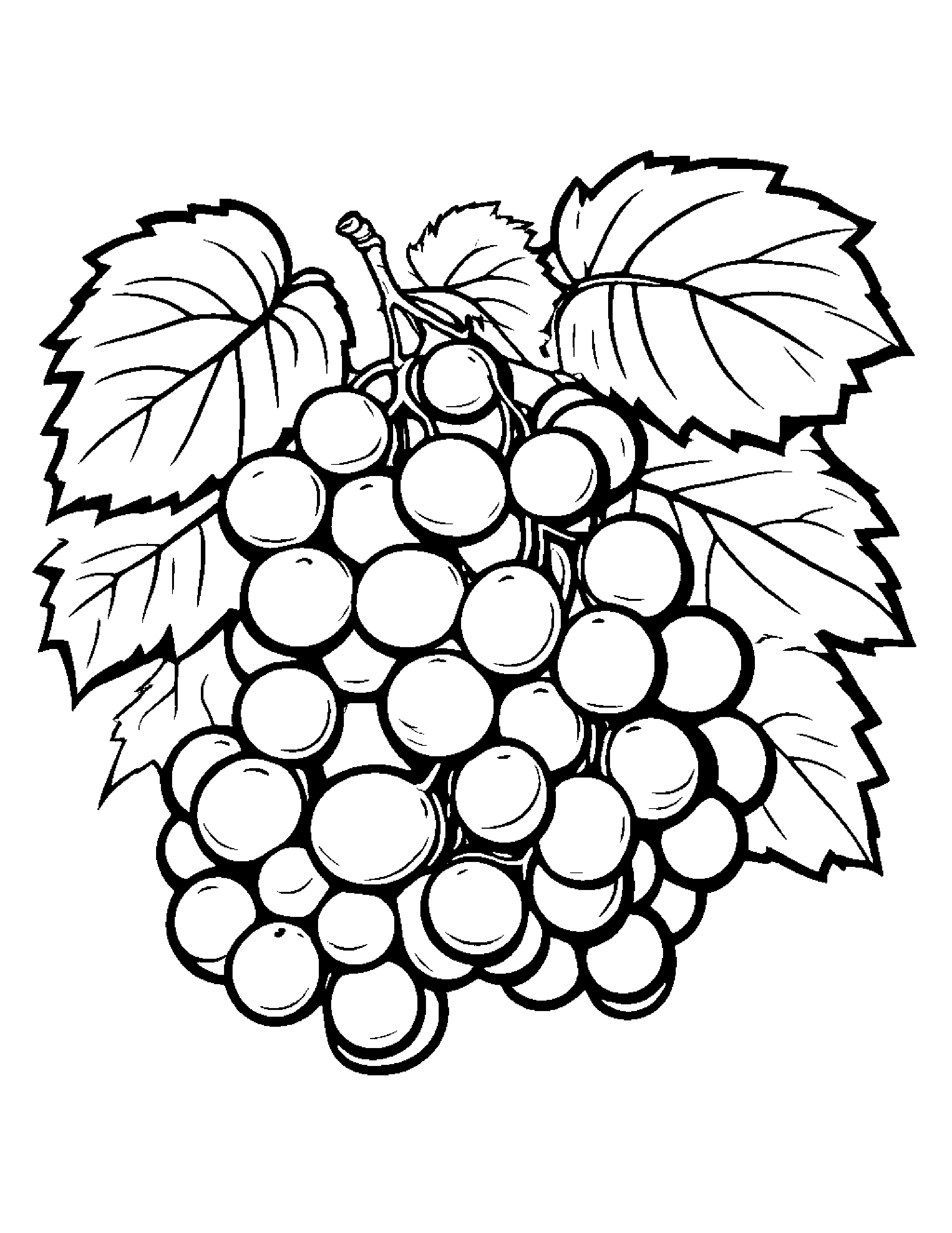 Grapes With A Leaf Sprig #3 Coloring Page (Free Printable PDF)