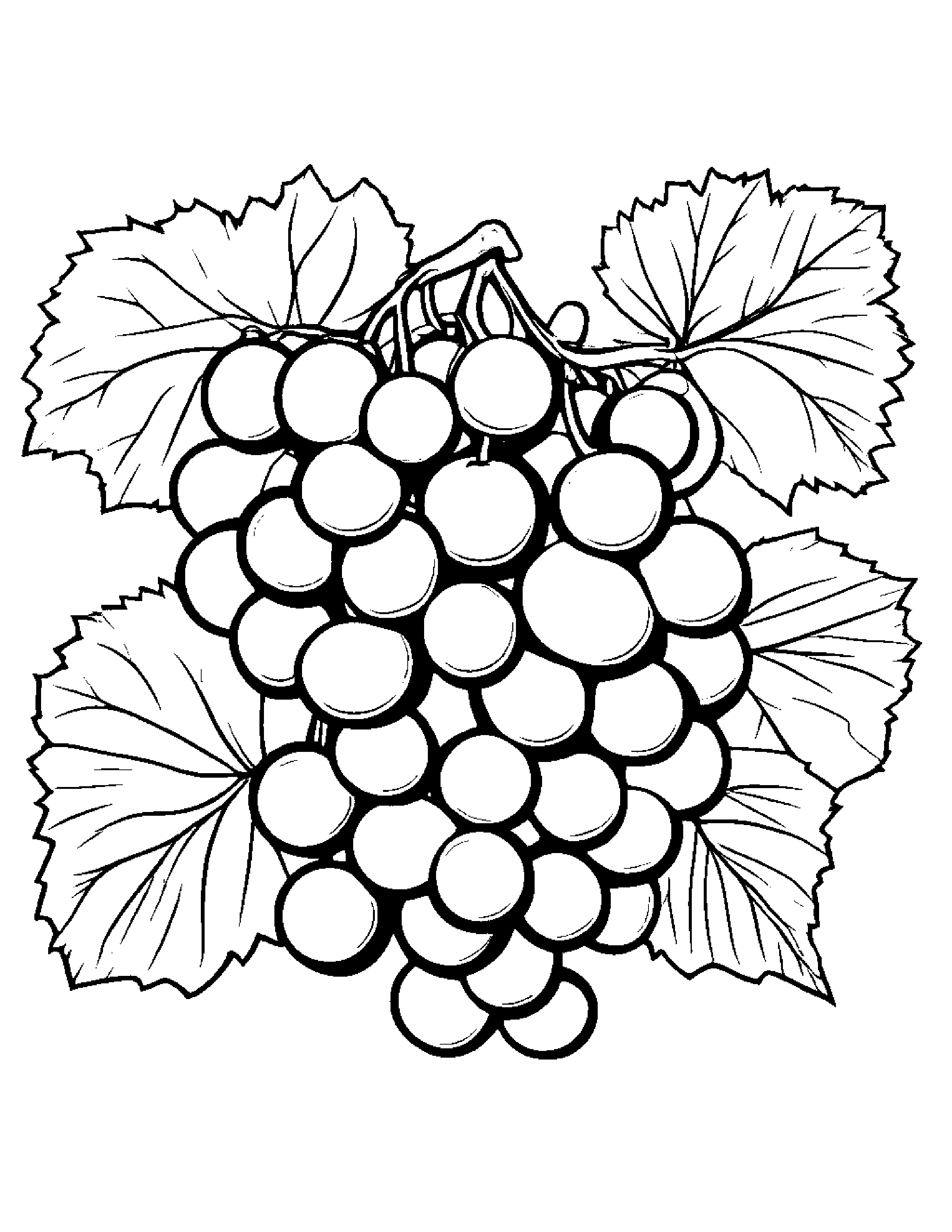 Grapes With A Leaf Sprig Coloring Page (Free Printable PDF)