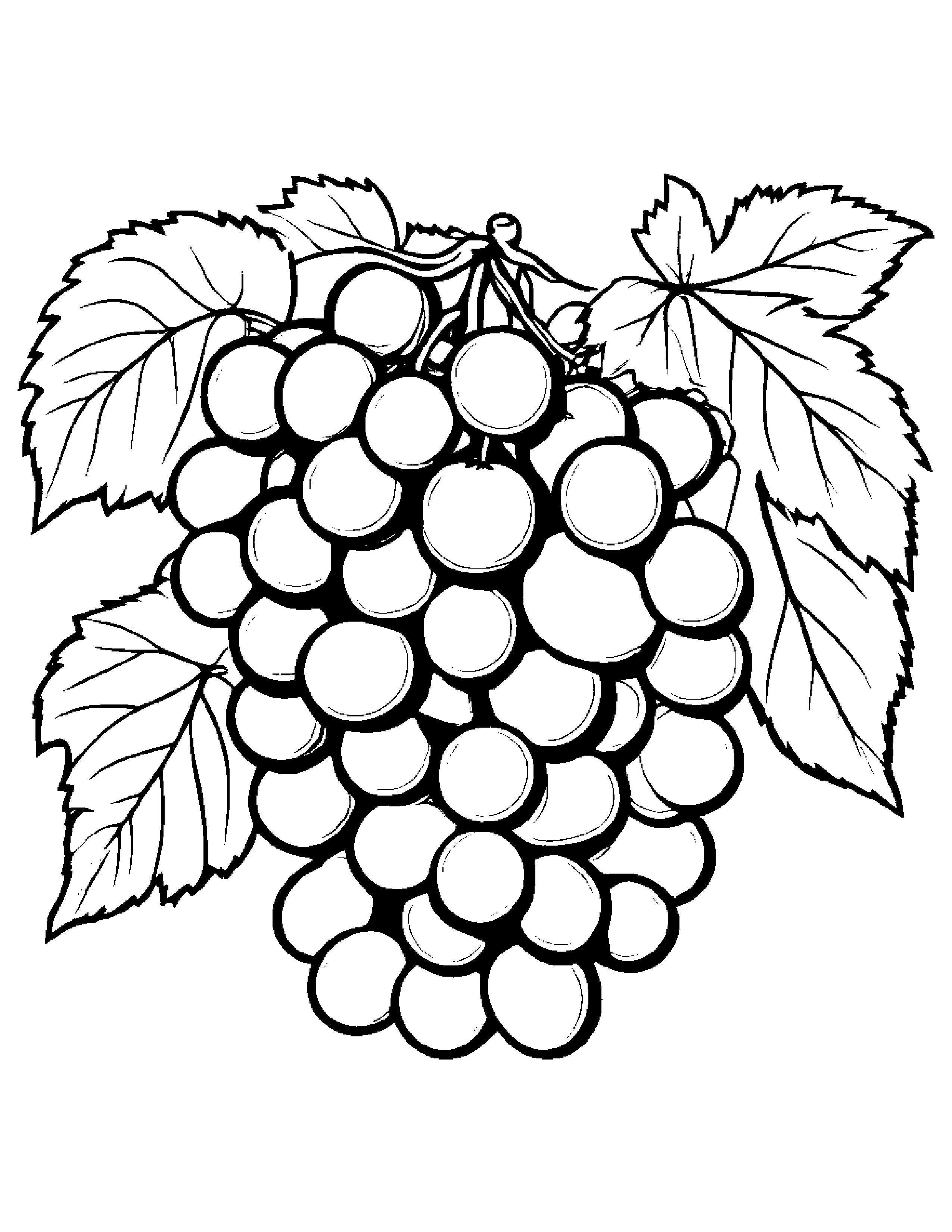 Grapes With A Ribbon #2 Coloring Page (Free Printable PDF)