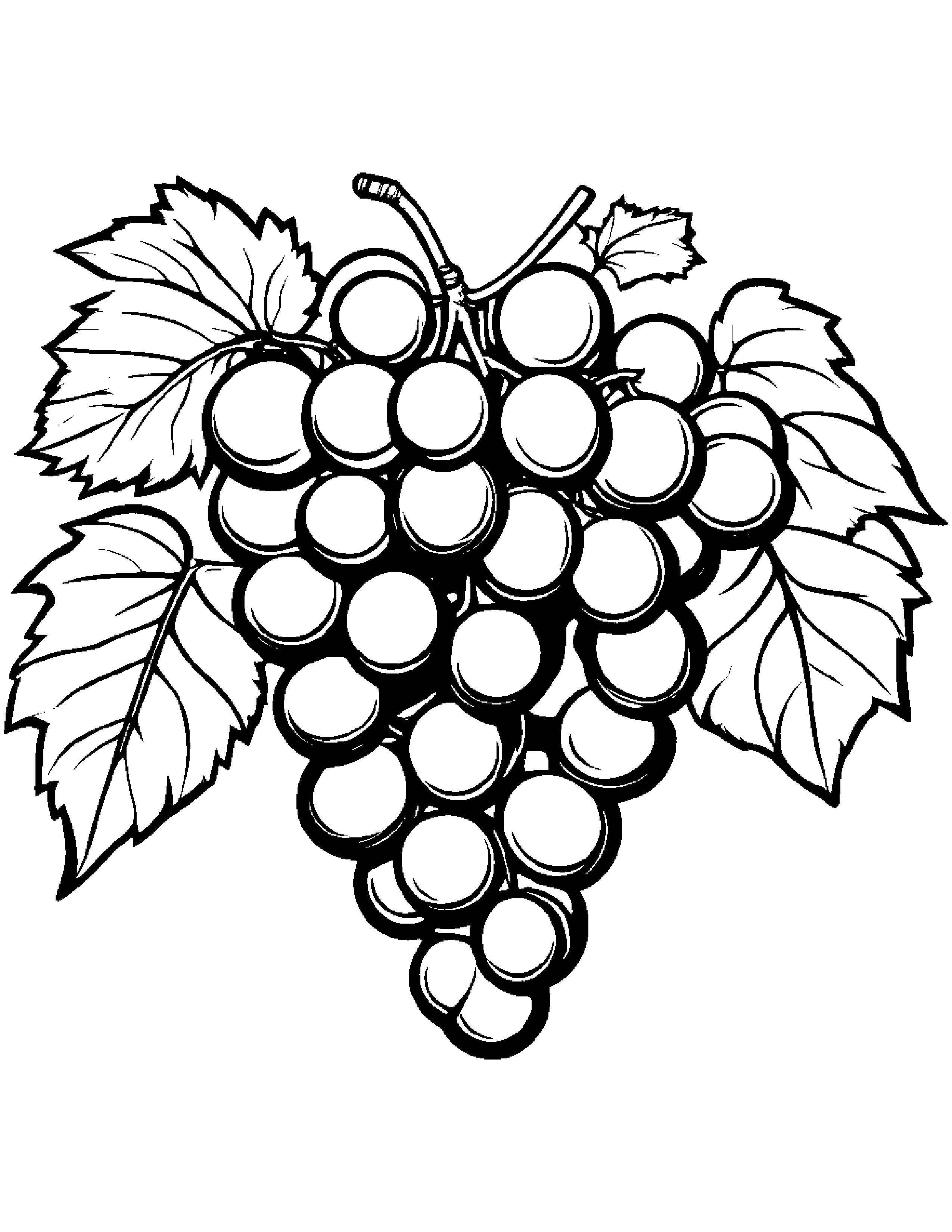Grapes With A Ribbon #3 Coloring Page (Free Printable PDF)
