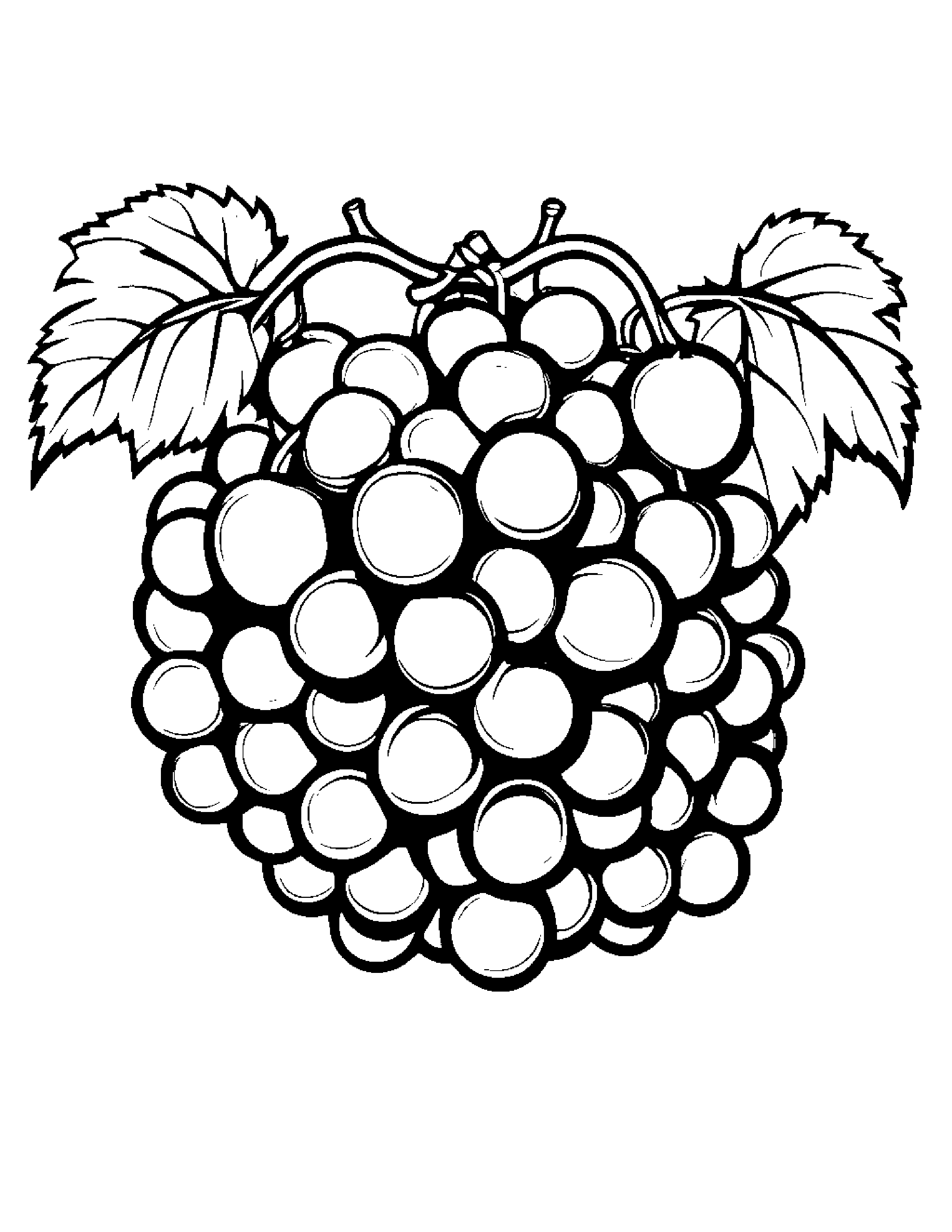 Grapes With A Ribbon #4 Coloring Page (Free Printable PDF)