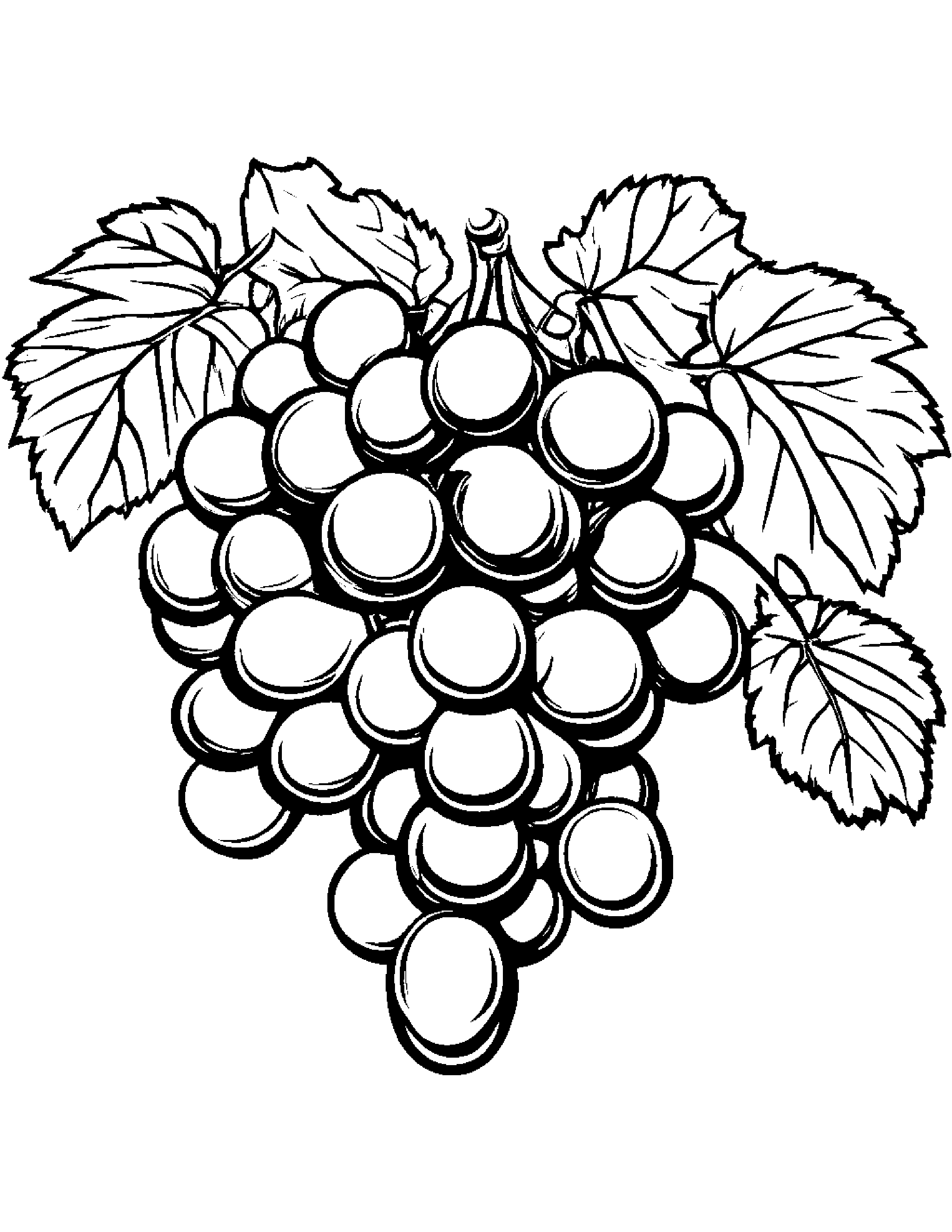 Grapes With A Ribbon #5 Coloring Page (Free Printable PDF)