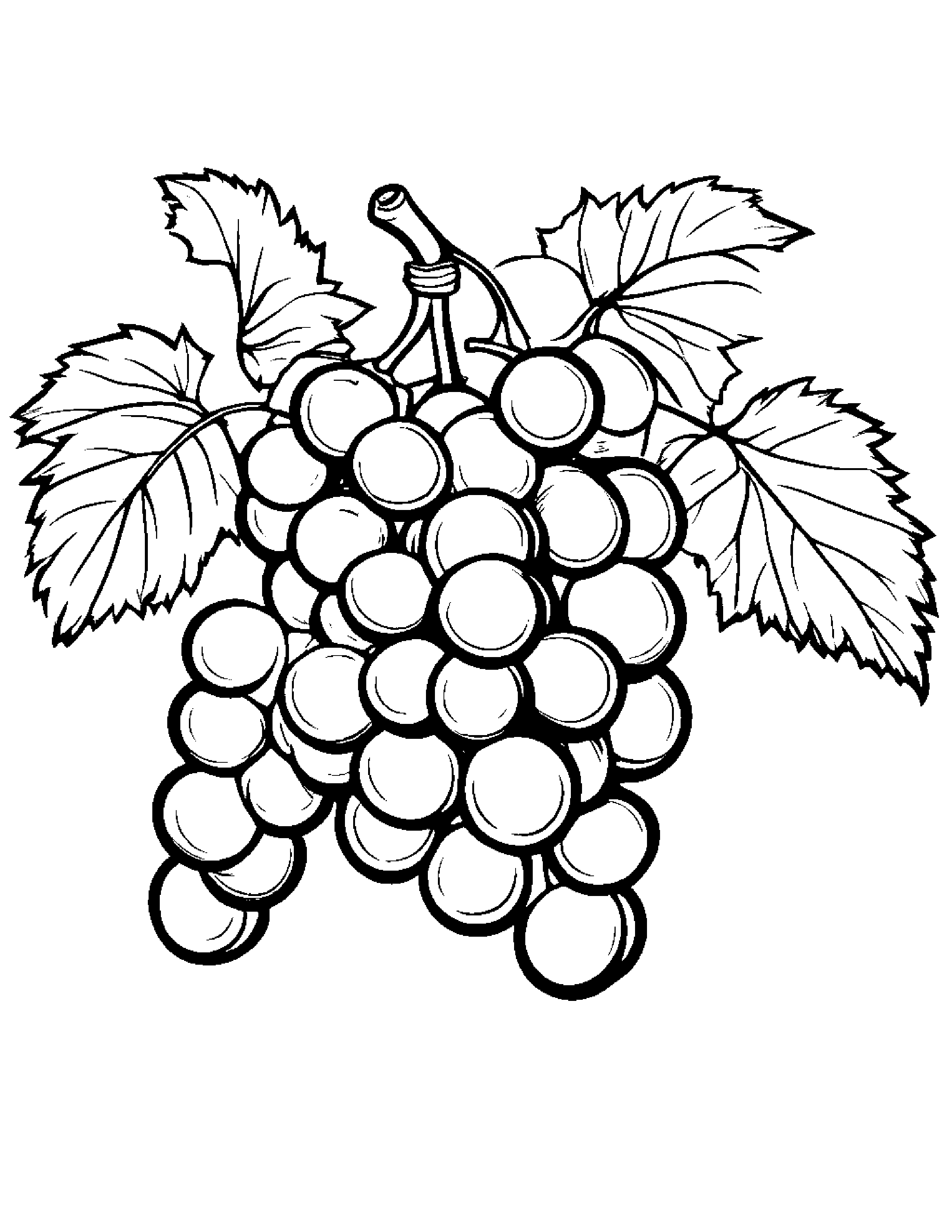 Grapes With A Ribbon Coloring Page (Free Printable PDF)