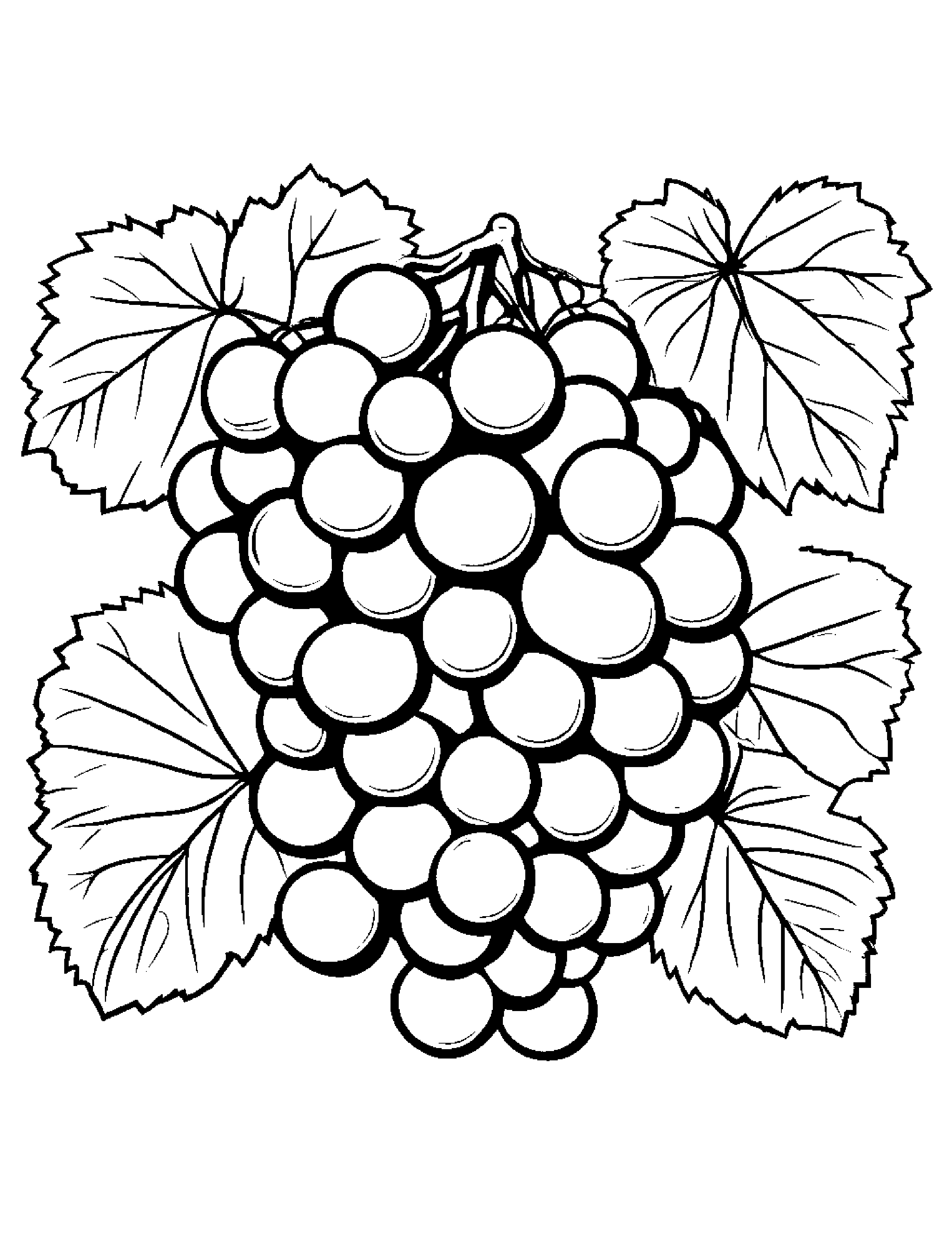 Grapes With A Small Flower #2 Coloring Page (Free Printable PDF)