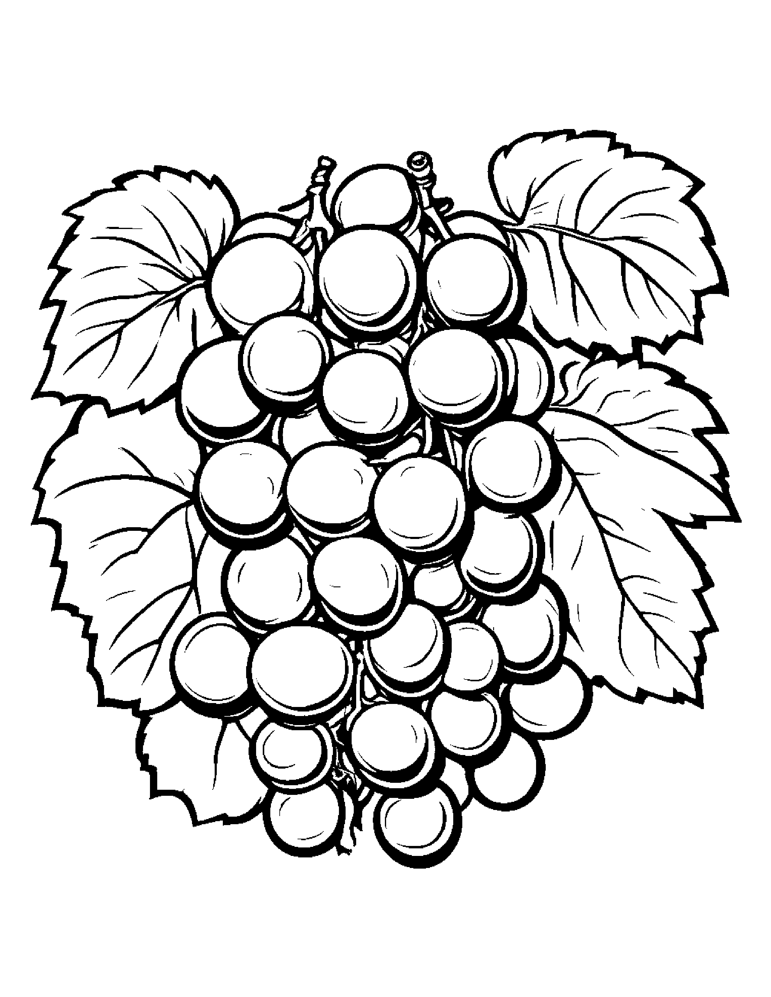 Grapes With A Small Flower #3 Coloring Page (Free Printable PDF)