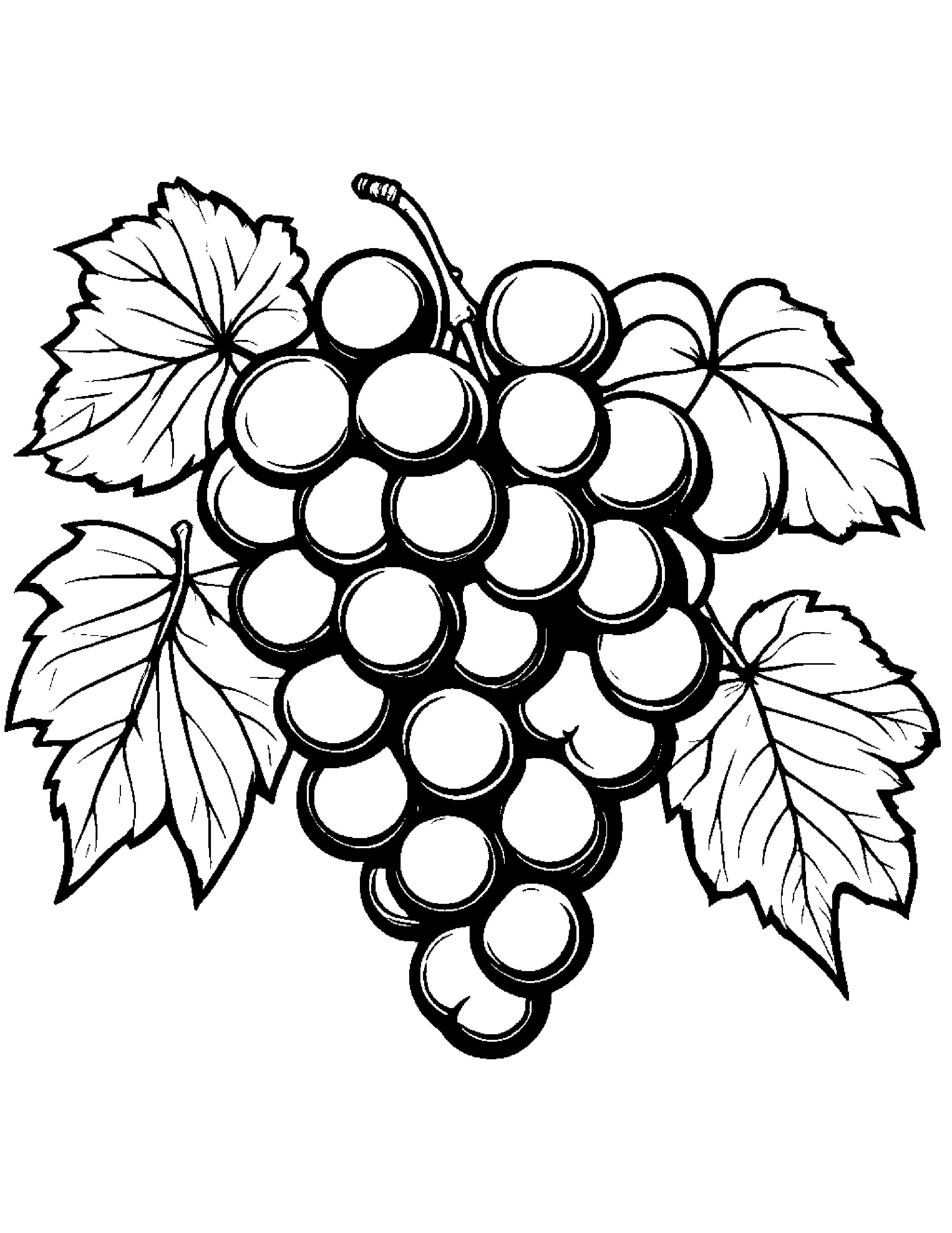 Grapes With A Small Flower Coloring Page (Free Printable PDF)