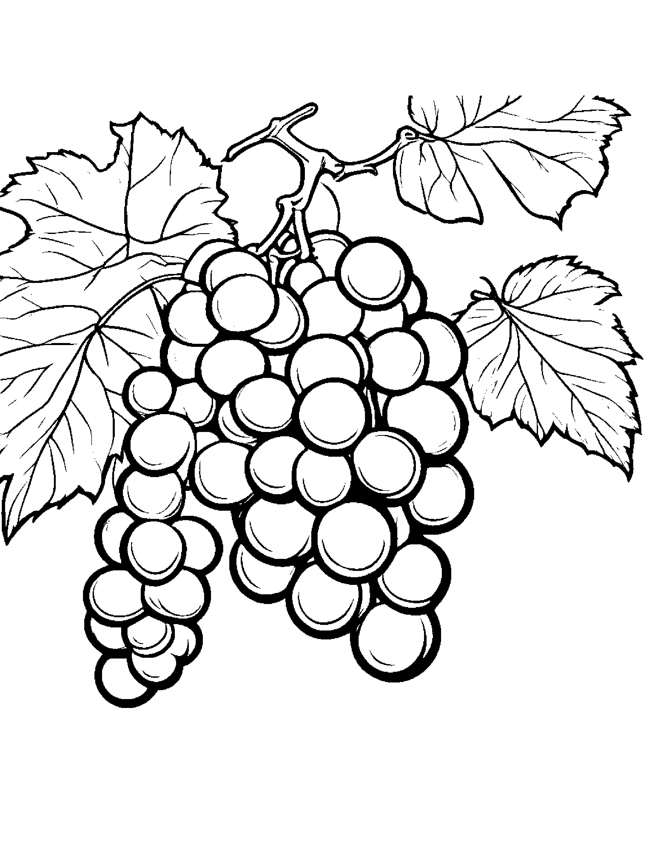 Grapes With A Soft Scarf #2 Coloring Page (Free Printable PDF)