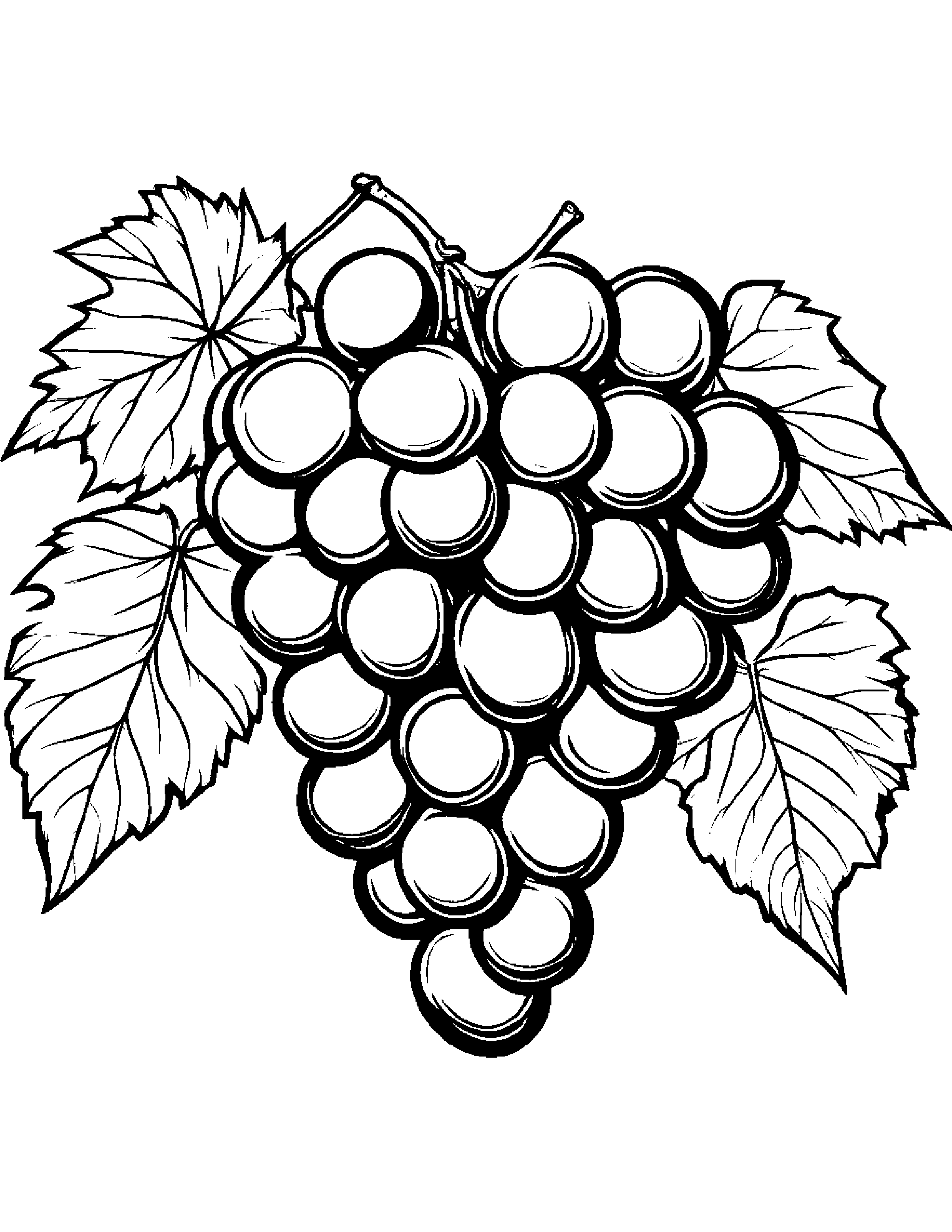 Grapes With A Soft Scarf #3 Coloring Page (Free Printable PDF)