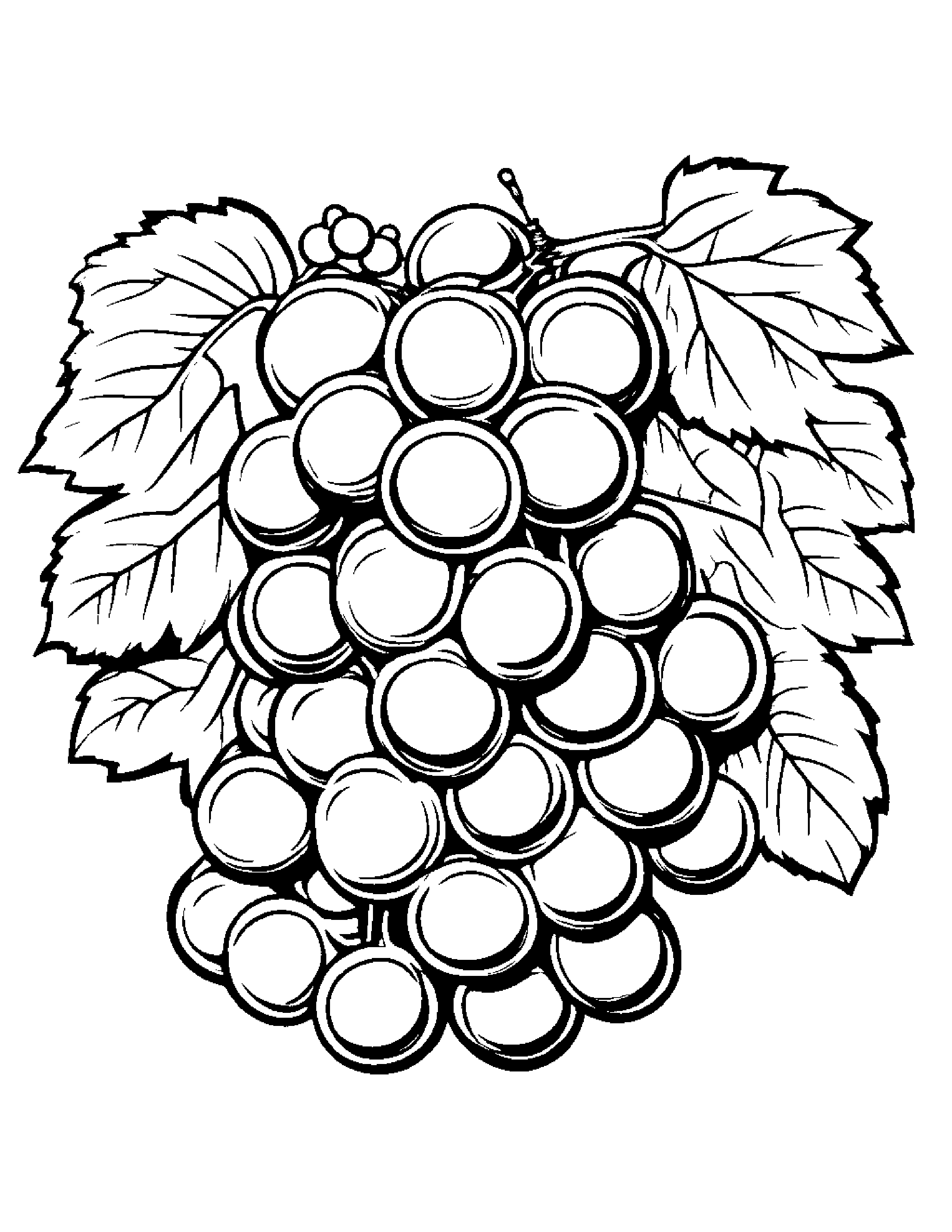 Grapes With A Soft Scarf #4 Coloring Page (Free Printable PDF)