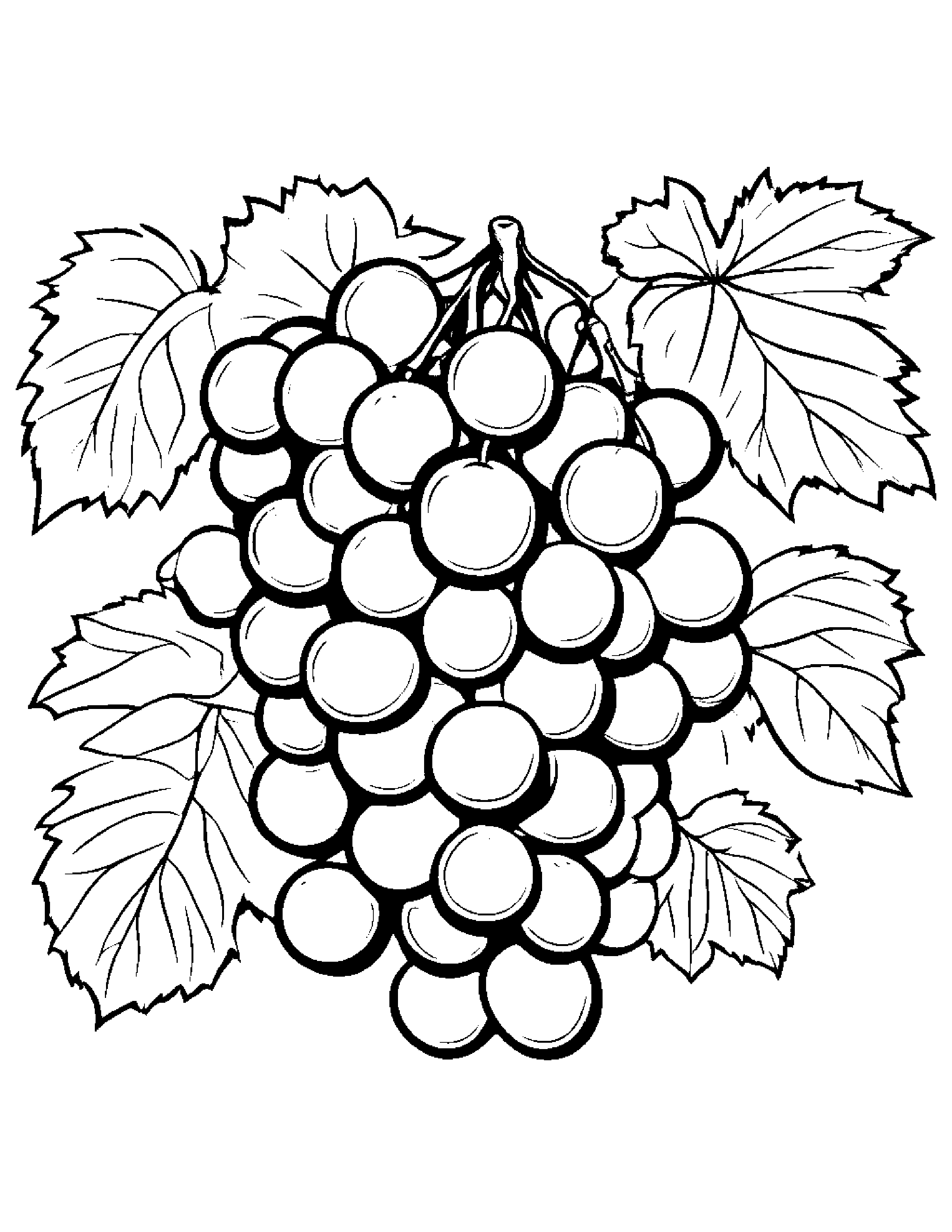 Grapes With A Soft Scarf Coloring Page (Free Printable PDF)